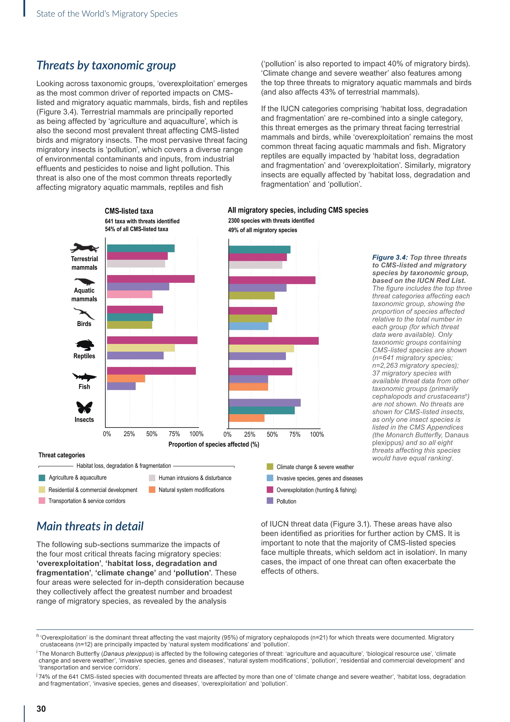 30
State of the World’s Migratory Species
Threats by taxonomic group
Looking across taxonomic groups, ‘overexploitation’ emerges
as the most common driver of reported impacts on CMS-
listed and migratory aquatic mammals, birds, fish and reptiles
(Figure 3.4). Terrestrial mammals are principally reported
as being affected by ‘agriculture and aquaculture’, which is
also the second most prevalent threat affecting CMS-listed
birds and migratory insects. The most pervasive threat facing
migratory insects is ‘pollution’, which covers a diverse range
of environmental contaminants and inputs, from industrial
effluents and pesticides to noise and light pollution. This
threat is also one of the most common threats reportedly
affecting migratory aquatic mammals, reptiles and fish
(‘pollution’ is also reported to impact 40% of migratory birds).
‘Climate change and severe weather’ also features among
the top three threats to migratory aquatic mammals and birds
(and also affects 43% of terrestrial mammals).
If the IUCN categories comprising ‘habitat loss, degradation
and fragmentation’ are re-combined into a single category,
this threat emerges as the primary threat facing terrestrial
mammals and birds, while ‘overexploitation’ remains the most
common threat facing aquatic mammals and fish. Migratory
reptiles are equally impacted by ‘habitat loss, degradation
and fragmentation’ and ‘overexploitation’. Similarly, migratory
insects are equally affected by ‘habitat loss, degradation and
fragmentation’ and ‘pollution’.
0% 25% 50% 75% 100% 0% 25% 50% 75% 100%
Terrestrial
mammals
Proportion of species affected (%)
All migratory species, including CMS species
2300 species with threats identified
49% of all migratory species
641 taxa with threats identified
54% of all CMS-listed taxa
CMS-listed taxa
Aquatic
mammals
Reptiles
Insects
Fish
Birds
Overexploitation (hunting  fishing)
Invasive species, genes and diseases
Threat categories
Habitat loss, degradation  fragmentation
Agriculture  aquaculture Human intrusions  disturbance
Pollution
Residential  commercial development Natural system modifications
Transportation  service corridors
Climate change  severe weather
97%
69%
Main threats in detail
The following sub-sections summarize the impacts of
the four most critical threats facing migratory species:
‘overexploitation’, ‘habitat loss, degradation and
fragmentation’, ‘climate change’ and ‘pollution’. These
four areas were selected for in-depth consideration because
they collectively affect the greatest number and broadest
range of migratory species, as revealed by the analysis
of IUCN threat data (Figure 3.1). These areas have also
been identified as priorities for further action by CMS. It is
important to note that the majority of CMS-listed species
face multiple threats, which seldom act in isolationj
. In many
cases, the impact of one threat can often exacerbate the
effects of others.
Figure 3.4: Top three threats
to CMS-listed and migratory
species by taxonomic group,
based on the IUCN Red List.
The figure includes the top three
threat categories affecting each
taxonomic group, showing the
proportion of species affected
relative to the total number in
each group (for which threat
data were available). Only
taxonomic groups containing
CMS-listed species are shown
(n=641 migratory species;
n=2,263 migratory species);
37 migratory species with
available threat data from other
taxonomic groups (primarily
cephalopods and crustaceansh
)
are not shown. No threats are
shown for CMS-listed insects,
as only one insect species is
listed in the CMS Appendices
(the Monarch Butterfly, Danaus
plexippus) and so all eight
threats affecting this species
would have equal rankingi
.
h

‘Overexploitation’ is the dominant threat affecting the vast majority (95%) of migratory cephalopods (n=21) for which threats were documented. Migratory
crustaceans (n=12) are principally impacted by ‘natural system modifications’ and ‘pollution’.
i

The Monarch Butterfly (Danaus plexippus) is affected by the following categories of threat: ‘agriculture and aquaculture’, ‘biological resource use’, ‘climate
change and severe weather’, ‘invasive species, genes and diseases’, ‘natural system modifications’, ‘pollution’, ‘residential and commercial development’ and
‘transportation and service corridors’.
j

74% of the 641 CMS-listed species with documented threats are affected by more than one of ‘climate change and severe weather’, ‘habitat loss, degradation
and fragmentation’, ‘invasive species, genes and diseases’, ‘overexploitation’ and ‘pollution’.
 