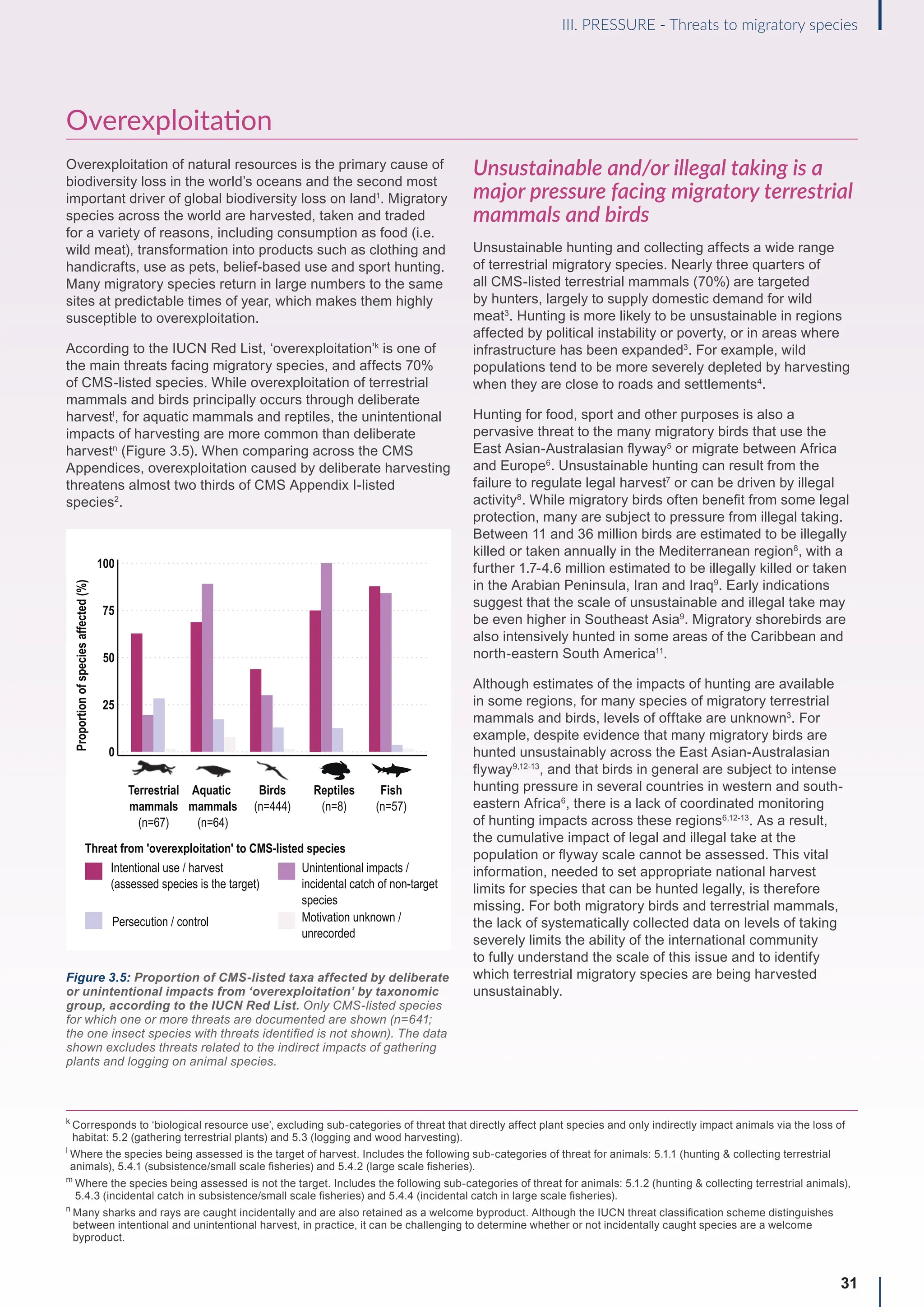 Overexploitation
Overexploitation of natural resources is the primary cause of
biodiversity loss in the world’s oceans and the second most
important driver of global biodiversity loss on land1
. Migratory
species across the world are harvested, taken and traded
for a variety of reasons, including consumption as food (i.e.
wild meat), transformation into products such as clothing and
handicrafts, use as pets, belief-based use and sport hunting.
Many migratory species return in large numbers to the same
sites at predictable times of year, which makes them highly
susceptible to overexploitation.
According to the IUCN Red List, ‘overexploitation’k
is one of
the main threats facing migratory species, and affects 70%
of CMS-listed species. While overexploitation of terrestrial
mammals and birds principally occurs through deliberate
harvestl
, for aquatic mammals and reptiles, the unintentional
impacts of harvesting are more common than deliberate
harvestn
(Figure 3.5). When comparing across the CMS
Appendices, overexploitation caused by deliberate harvesting
threatens almost two thirds of CMS Appendix I-listed
species2
.
Unsustainable and/or illegal taking is a
major pressure facing migratory terrestrial
mammals and birds
Unsustainable hunting and collecting affects a wide range
of terrestrial migratory species. Nearly three quarters of
all CMS-listed terrestrial mammals (70%) are targeted
by hunters, largely to supply domestic demand for wild
meat3
. Hunting is more likely to be unsustainable in regions
affected by political instability or poverty, or in areas where
infrastructure has been expanded3
. For example, wild
populations tend to be more severely depleted by harvesting
when they are close to roads and settlements4
.
Hunting for food, sport and other purposes is also a
pervasive threat to the many migratory birds that use the
East Asian-Australasian flyway5
or migrate between Africa
and Europe6
. Unsustainable hunting can result from the
failure to regulate legal harvest7
or can be driven by illegal
activity8
. While migratory birds often benefit from some legal
protection, many are subject to pressure from illegal taking.
Between 11 and 36 million birds are estimated to be illegally
killed or taken annually in the Mediterranean region8
, with a
further 1.7-4.6 million estimated to be illegally killed or taken
in the Arabian Peninsula, Iran and Iraq9
. Early indications
suggest that the scale of unsustainable and illegal take may
be even higher in Southeast Asia9
. Migratory shorebirds are
also intensively hunted in some areas of the Caribbean and
north-eastern South America11
.
Although estimates of the impacts of hunting are available
in some regions, for many species of migratory terrestrial
mammals and birds, levels of offtake are unknown3
. For
example, despite evidence that many migratory birds are
hunted unsustainably across the East Asian-Australasian
flyway9,12-13
, and that birds in general are subject to intense
hunting pressure in several countries in western and south-
eastern Africa6
, there is a lack of coordinated monitoring
of hunting impacts across these regions6,12-13
. As a result,
the cumulative impact of legal and illegal take at the
population or flyway scale cannot be assessed. This vital
information, needed to set appropriate national harvest
limits for species that can be hunted legally, is therefore
missing. For both migratory birds and terrestrial mammals,
the lack of systematically collected data on levels of taking
severely limits the ability of the international community
to fully understand the scale of this issue and to identify
which terrestrial migratory species are being harvested
unsustainably.
31
III. PRESSURE - Threats to migratory species
k

Corresponds to ‘biological resource use’, excluding sub-categories of threat that directly affect plant species and only indirectly impact animals via the loss of
habitat: 5.2 (gathering terrestrial plants) and 5.3 (logging and wood harvesting).
l

Where the species being assessed is the target of harvest. Includes the following sub-categories of threat for animals: 5.1.1 (hunting  collecting terrestrial
animals), 5.4.1 (subsistence/small scale fisheries) and 5.4.2 (large scale fisheries).
m

Where the species being assessed is not the target. Includes the following sub-categories of threat for animals: 5.1.2 (hunting  collecting terrestrial animals),
5.4.3 (incidental catch in subsistence/small scale fisheries) and 5.4.4 (incidental catch in large scale fisheries).
n

Many sharks and rays are caught incidentally and are also retained as a welcome byproduct. Although the IUCN threat classification scheme distinguishes
between intentional and unintentional harvest, in practice, it can be challenging to determine whether or not incidentally caught species are a welcome
byproduct.
Figure 3.5: Proportion of CMS-listed taxa affected by deliberate
or unintentional impacts from ‘overexploitation’ by taxonomic
group, according to the IUCN Red List. Only CMS-listed species
for which one or more threats are documented are shown (n=641;
the one insect species with threats identified is not shown). The data
shown excludes threats related to the indirect impacts of gathering
plants and logging on animal species.
Aquatic
mammals
(n=64)
Birds
(n=444)
Reptiles
(n=8)
Fish
(n=57)
Terrestrial
mammals
(n=67)
100
75
50
25
0
Proportion
of
species
affected
(%)
Threat from 'overexploitation' to CMS-listed species
Intentional use / harvest
(assessed species is the target)
Unintentional impacts /
incidental catch of non-target
species
Persecution / control Motivation unknown /
unrecorded
 