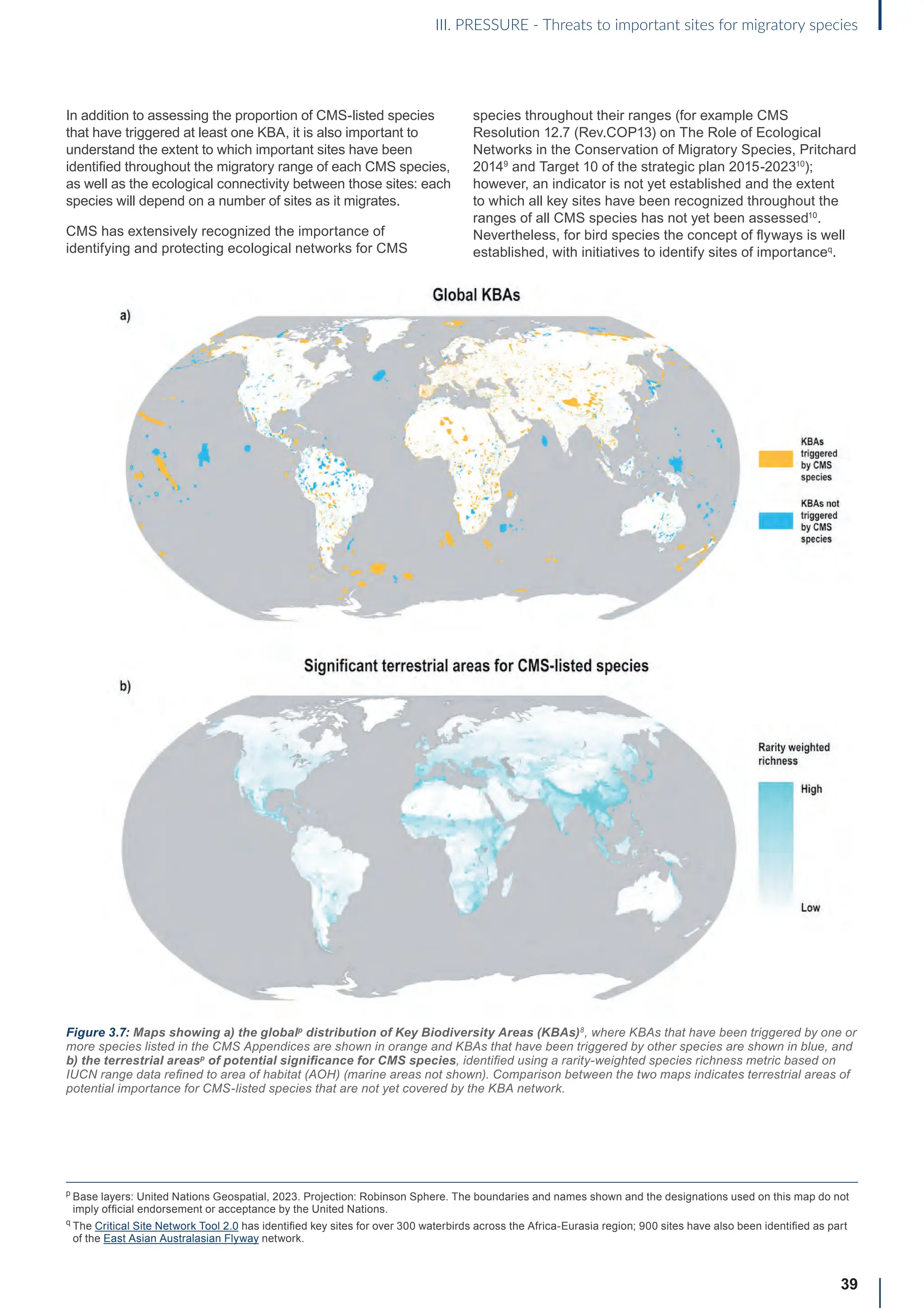 In addition to assessing the proportion of CMS-listed species
that have triggered at least one KBA, it is also important to
understand the extent to which important sites have been
identified throughout the migratory range of each CMS species,
as well as the ecological connectivity between those sites: each
species will depend on a number of sites as it migrates.
CMS has extensively recognized the importance of
identifying and protecting ecological networks for CMS
species throughout their ranges (for example CMS
Resolution 12.7 (Rev.COP13) on The Role of Ecological
Networks in the Conservation of Migratory Species, Pritchard
20149
and Target 10 of the strategic plan 2015-202310
);
however, an indicator is not yet established and the extent
to which all key sites have been recognized throughout the
ranges of all CMS species has not yet been assessed10
.
Nevertheless, for bird species the concept of flyways is well
established, with initiatives to identify sites of importanceq
.
39
III. PRESSURE - Threats to important sites for migratory species
p

Base layers: United Nations Geospatial, 2023. Projection: Robinson Sphere. The boundaries and names shown and the designations used on this map do not
imply official endorsement or acceptance by the United Nations.
q
The Critical Site Network Tool 2.0 has identified key sites for over 300 waterbirds across the Africa-Eurasia region; 900 sites have also been identified as part
of the East Asian Australasian Flyway network.
Figure 3.7: Maps showing a) the globalp
distribution of Key Biodiversity Areas (KBAs)8
, where KBAs that have been triggered by one or
more species listed in the CMS Appendices are shown in orange and KBAs that have been triggered by other species are shown in blue, and
b) the terrestrial areasp
of potential significance for CMS species, identified using a rarity-weighted species richness metric based on
IUCN range data refined to area of habitat (AOH) (marine areas not shown). Comparison between the two maps indicates terrestrial areas of
potential importance for CMS-listed species that are not yet covered by the KBA network.
 