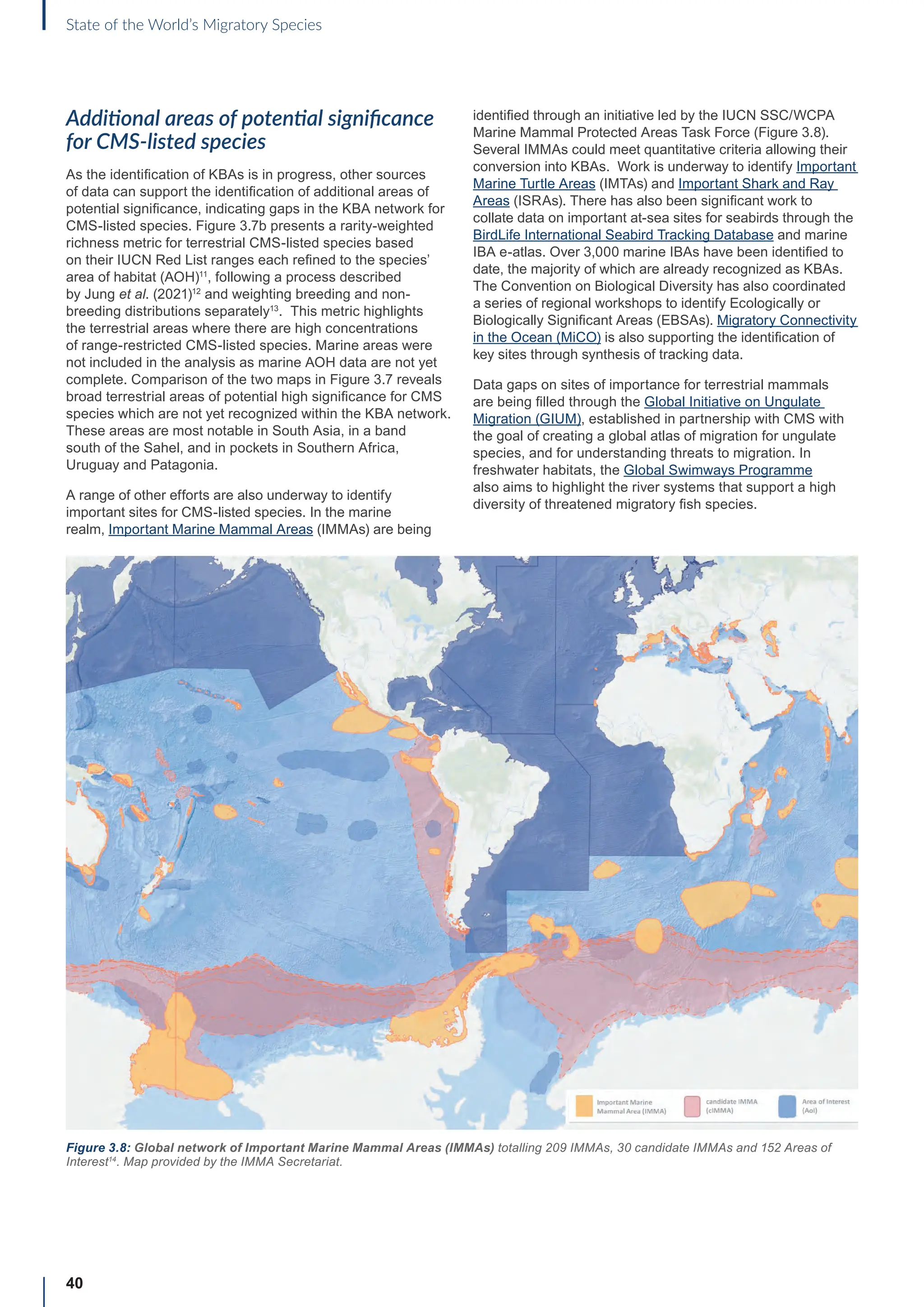 40
State of the World’s Migratory Species
Additional areas of potential significance
for CMS-listed species
As the identification of KBAs is in progress, other sources
of data can support the identification of additional areas of
potential significance, indicating gaps in the KBA network for
CMS-listed species. Figure 3.7b presents a rarity-weighted
richness metric for terrestrial CMS-listed species based
on their IUCN Red List ranges each refined to the species’
area of habitat (AOH)11
, following a process described
by Jung et al. (2021)12
and weighting breeding and non-
breeding distributions separately13
. This metric highlights
the terrestrial areas where there are high concentrations
of range-restricted CMS-listed species. Marine areas were
not included in the analysis as marine AOH data are not yet
complete. Comparison of the two maps in Figure 3.7 reveals
broad terrestrial areas of potential high significance for CMS
species which are not yet recognized within the KBA network.
These areas are most notable in South Asia, in a band
south of the Sahel, and in pockets in Southern Africa,
Uruguay and Patagonia.
A range of other efforts are also underway to identify
important sites for CMS-listed species. In the marine
realm, Important Marine Mammal Areas (IMMAs) are being
identified through an initiative led by the IUCN SSC/WCPA
Marine Mammal Protected Areas Task Force (Figure 3.8).
Several IMMAs could meet quantitative criteria allowing their
conversion into KBAs. Work is underway to identify Important
Marine Turtle Areas (IMTAs) and Important Shark and Ray
Areas (ISRAs). There has also been significant work to
collate data on important at-sea sites for seabirds through the
BirdLife International Seabird Tracking Database and marine
IBA e-atlas. Over 3,000 marine IBAs have been identified to
date, the majority of which are already recognized as KBAs.
The Convention on Biological Diversity has also coordinated
a series of regional workshops to identify Ecologically or
Biologically Significant Areas (EBSAs). Migratory Connectivity
in the Ocean (MiCO) is also supporting the identification of
key sites through synthesis of tracking data.
Data gaps on sites of importance for terrestrial mammals
are being filled through the Global Initiative on Ungulate
Migration (GIUM), established in partnership with CMS with
the goal of creating a global atlas of migration for ungulate
species, and for understanding threats to migration. In
freshwater habitats, the Global Swimways Programme
also aims to highlight the river systems that support a high
diversity of threatened migratory fish species.
Figure 3.8: Global network of Important Marine Mammal Areas (IMMAs) totalling 209 IMMAs, 30 candidate IMMAs and 152 Areas of
Interest14
. Map provided by the IMMA Secretariat.
 