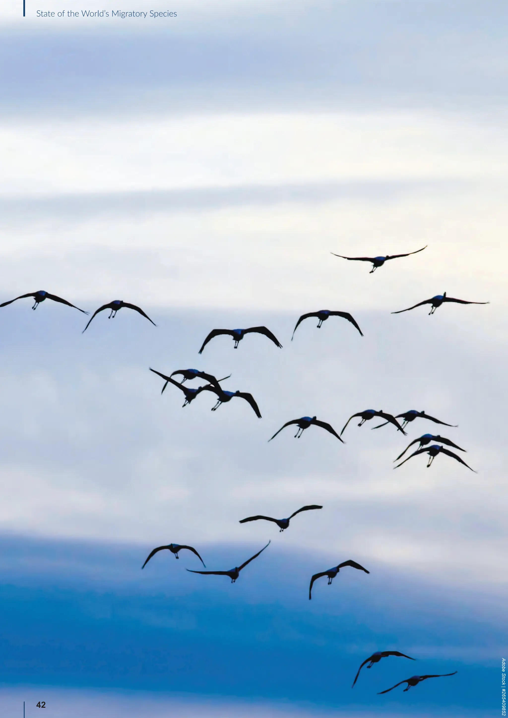 42
State of the World’s Migratory Species
Adobe
Stock
|
#265409852
 