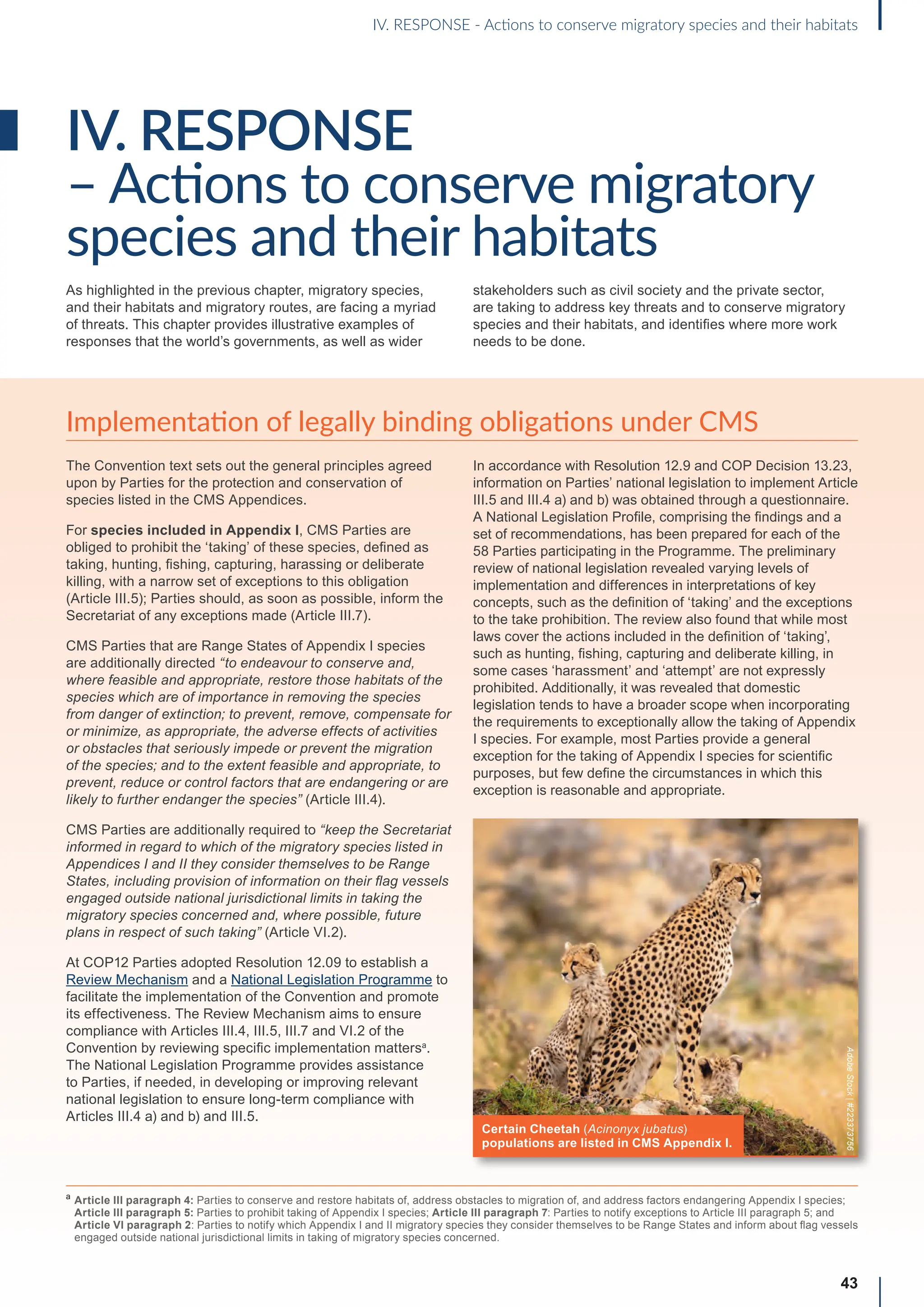 IV. RESPONSE
– Actions to conserve migratory
species and their habitats
As highlighted in the previous chapter, migratory species,
and their habitats and migratory routes, are facing a myriad
of threats. This chapter provides illustrative examples of
responses that the world’s governments, as well as wider
stakeholders such as civil society and the private sector,
are taking to address key threats and to conserve migratory
species and their habitats, and identifies where more work
needs to be done.
Implementation of legally binding obligations under CMS
The Convention text sets out the general principles agreed
upon by Parties for the protection and conservation of
species listed in the CMS Appendices.
For species included in Appendix I, CMS Parties are
obliged to prohibit the ‘taking’ of these species, defined as
taking, hunting, fishing, capturing, harassing or deliberate
killing, with a narrow set of exceptions to this obligation
(Article III.5); Parties should, as soon as possible, inform the
Secretariat of any exceptions made (Article III.7).
CMS Parties that are Range States of Appendix I species
are additionally directed “to endeavour to conserve and,
where feasible and appropriate, restore those habitats of the
species which are of importance in removing the species
from danger of extinction; to prevent, remove, compensate for
or minimize, as appropriate, the adverse effects of activities
or obstacles that seriously impede or prevent the migration
of the species; and to the extent feasible and appropriate, to
prevent, reduce or control factors that are endangering or are
likely to further endanger the species” (Article III.4).
CMS Parties are additionally required to “keep the Secretariat
informed in regard to which of the migratory species listed in
Appendices I and II they consider themselves to be Range
States, including provision of information on their flag vessels
engaged outside national jurisdictional limits in taking the
migratory species concerned and, where possible, future
plans in respect of such taking” (Article VI.2).
At COP12 Parties adopted Resolution 12.09 to establish a
Review Mechanism and a National Legislation Programme to
facilitate the implementation of the Convention and promote
its effectiveness. The Review Mechanism aims to ensure
compliance with Articles III.4, III.5, III.7 and VI.2 of the
Convention by reviewing specific implementation mattersa
.
The National Legislation Programme provides assistance
to Parties, if needed, in developing or improving relevant
national legislation to ensure long-term compliance with
Articles III.4 a) and b) and III.5.
In accordance with Resolution 12.9 and COP Decision 13.23,
information on Parties’ national legislation to implement Article
III.5 and III.4 a) and b) was obtained through a questionnaire.
A National Legislation Profile, comprising the findings and a
set of recommendations, has been prepared for each of the
58 Parties participating in the Programme. The preliminary
review of national legislation revealed varying levels of
implementation and differences in interpretations of key
concepts, such as the definition of ‘taking’ and the exceptions
to the take prohibition. The review also found that while most
laws cover the actions included in the definition of ‘taking’,
such as hunting, fishing, capturing and deliberate killing, in
some cases ‘harassment’ and ‘attempt’ are not expressly
prohibited. Additionally, it was revealed that domestic
legislation tends to have a broader scope when incorporating
the requirements to exceptionally allow the taking of Appendix
I species. For example, most Parties provide a general
exception for the taking of Appendix I species for scientific
purposes, but few define the circumstances in which this
exception is reasonable and appropriate.
43
IV. RESPONSE - Actions to conserve migratory species and their habitats
a

Article III paragraph 4: Parties to conserve and restore habitats of, address obstacles to migration of, and address factors endangering Appendix I species;
Article III paragraph 5: Parties to prohibit taking of Appendix I species; Article III paragraph 7: Parties to notify exceptions to Article III paragraph 5; and
Article VI paragraph 2: Parties to notify which Appendix I and II migratory species they consider themselves to be Range States and inform about flag vessels
engaged outside national jurisdictional limits in taking of migratory species concerned.
Certain Cheetah (Acinonyx jubatus)
populations are listed in CMS Appendix I.
Adobe
Stock
|
#223373756
 