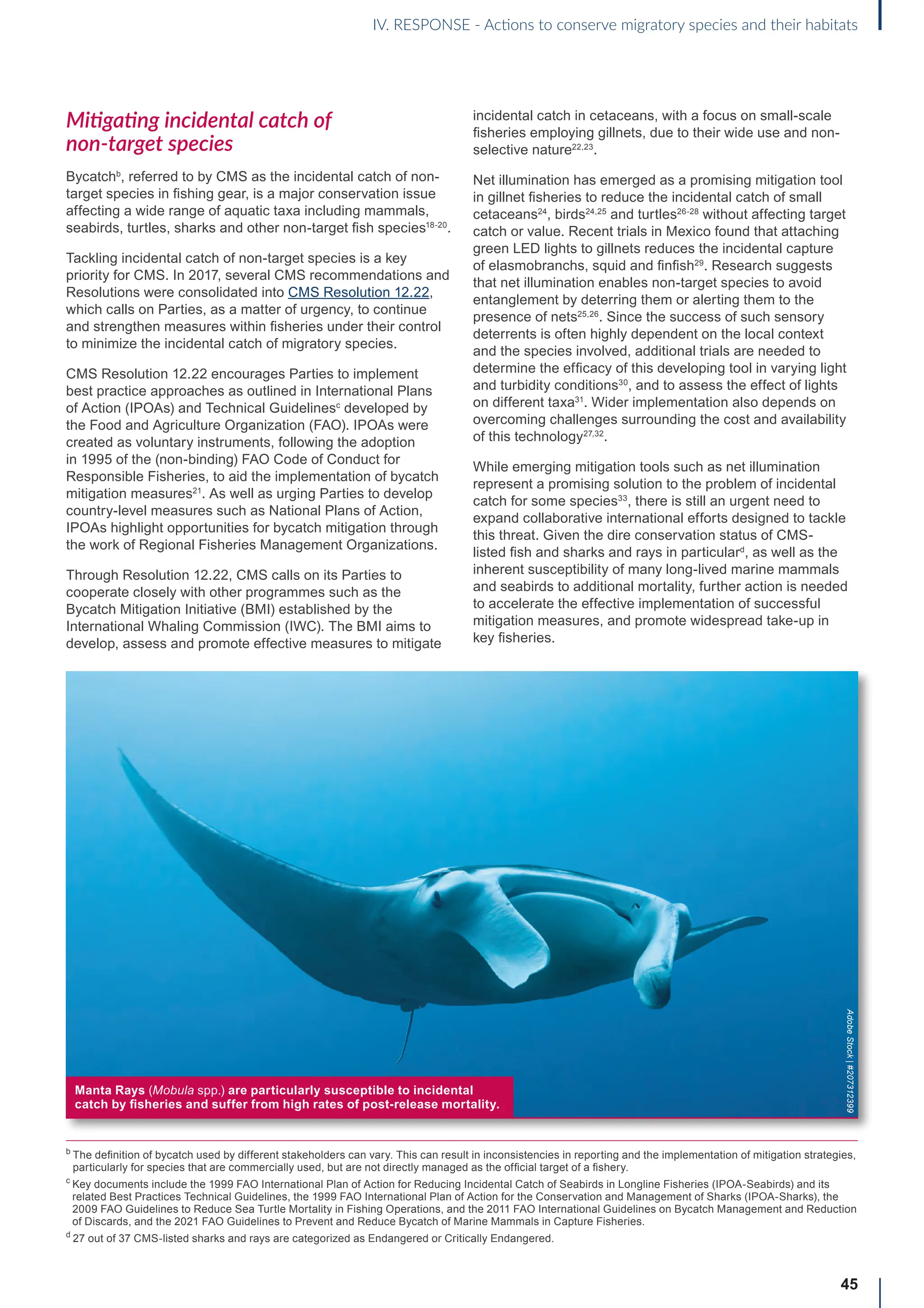 45
IV. RESPONSE - Actions to conserve migratory species and their habitats
Mitigating incidental catch of
non-target species
Bycatchb
, referred to by CMS as the incidental catch of non-
target species in fishing gear, is a major conservation issue
affecting a wide range of aquatic taxa including mammals,
seabirds, turtles, sharks and other non-target fish species18-20
.
Tackling incidental catch of non-target species is a key
priority for CMS. In 2017, several CMS recommendations and
Resolutions were consolidated into CMS Resolution 12.22,
which calls on Parties, as a matter of urgency, to continue
and strengthen measures within fisheries under their control
to minimize the incidental catch of migratory species.
CMS Resolution 12.22 encourages Parties to implement
best practice approaches as outlined in International Plans
of Action (IPOAs) and Technical Guidelinesc
developed by
the Food and Agriculture Organization (FAO). IPOAs were
created as voluntary instruments, following the adoption
in 1995 of the (non-binding) FAO Code of Conduct for
Responsible Fisheries, to aid the implementation of bycatch
mitigation measures21
. As well as urging Parties to develop
country-level measures such as National Plans of Action,
IPOAs highlight opportunities for bycatch mitigation through
the work of Regional Fisheries Management Organizations.
Through Resolution 12.22, CMS calls on its Parties to
cooperate closely with other programmes such as the
Bycatch Mitigation Initiative (BMI) established by the
International Whaling Commission (IWC). The BMI aims to
develop, assess and promote effective measures to mitigate
incidental catch in cetaceans, with a focus on small-scale
fisheries employing gillnets, due to their wide use and non-
selective nature22,23
.
Net illumination has emerged as a promising mitigation tool
in gillnet fisheries to reduce the incidental catch of small
cetaceans24
, birds24,25
and turtles26-28
without affecting target
catch or value. Recent trials in Mexico found that attaching
green LED lights to gillnets reduces the incidental capture
of elasmobranchs, squid and finfish29
. Research suggests
that net illumination enables non-target species to avoid
entanglement by deterring them or alerting them to the
presence of nets25,26
. Since the success of such sensory
deterrents is often highly dependent on the local context
and the species involved, additional trials are needed to
determine the efficacy of this developing tool in varying light
and turbidity conditions30
, and to assess the effect of lights
on different taxa31
. Wider implementation also depends on
overcoming challenges surrounding the cost and availability
of this technology27,32
.
While emerging mitigation tools such as net illumination
represent a promising solution to the problem of incidental
catch for some species33
, there is still an urgent need to
expand collaborative international efforts designed to tackle
this threat. Given the dire conservation status of CMS-
listed fish and sharks and rays in particulard
, as well as the
inherent susceptibility of many long-lived marine mammals
and seabirds to additional mortality, further action is needed
to accelerate the effective implementation of successful
mitigation measures, and promote widespread take-up in
key fisheries.
b

The definition of bycatch used by different stakeholders can vary. This can result in inconsistencies in reporting and the implementation of mitigation strategies,
particularly for species that are commercially used, but are not directly managed as the official target of a fishery.
c

Key documents include the 1999 FAO International Plan of Action for Reducing Incidental Catch of Seabirds in Longline Fisheries (IPOA-Seabirds) and its
related Best Practices Technical Guidelines, the 1999 FAO International Plan of Action for the Conservation and Management of Sharks (IPOA-Sharks), the
2009 FAO Guidelines to Reduce Sea Turtle Mortality in Fishing Operations, and the 2011 FAO International Guidelines on Bycatch Management and Reduction
of Discards, and the 2021 FAO Guidelines to Prevent and Reduce Bycatch of Marine Mammals in Capture Fisheries.
d
27 out of 37 CMS-listed sharks and rays are categorized as Endangered or Critically Endangered.
Manta Rays (Mobula spp.) are particularly susceptible to incidental
catch by fisheries and suffer from high rates of post-release mortality.
Adobe
Stock
|
#207312399
 