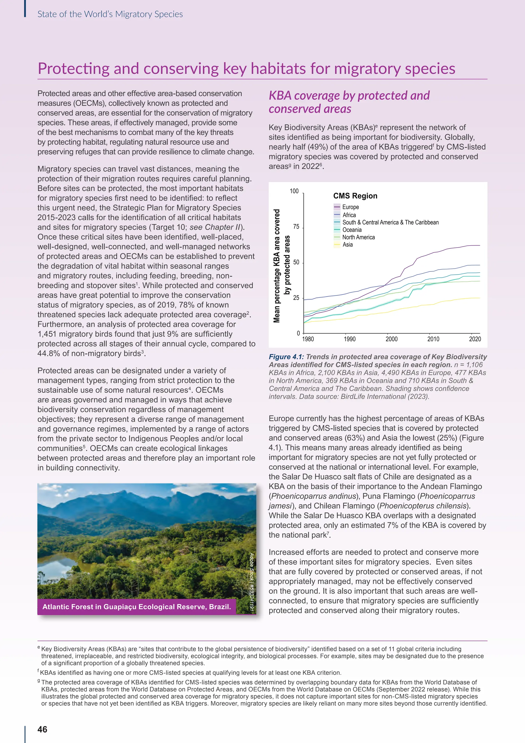 46
State of the World’s Migratory Species
Protecting and conserving key habitats for migratory species
Protected areas and other effective area-based conservation
measures (OECMs), collectively known as protected and
conserved areas, are essential for the conservation of migratory
species. These areas, if effectively managed, provide some
of the best mechanisms to combat many of the key threats
by protecting habitat, regulating natural resource use and
preserving refuges that can provide resilience to climate change.
Migratory species can travel vast distances, meaning the
protection of their migration routes requires careful planning.
Before sites can be protected, the most important habitats
for migratory species first need to be identified: to reflect
this urgent need, the Strategic Plan for Migratory Species
2015-2023 calls for the identification of all critical habitats
and sites for migratory species (Target 10; see Chapter II).
Once these critical sites have been identified, well-placed,
well-designed, well-connected, and well-managed networks
of protected areas and OECMs can be established to prevent
the degradation of vital habitat within seasonal ranges
and migratory routes, including feeding, breeding, non-
breeding and stopover sites1
. While protected and conserved
areas have great potential to improve the conservation
status of migratory species, as of 2019, 78% of known
threatened species lack adequate protected area coverage2
.
Furthermore, an analysis of protected area coverage for
1,451 migratory birds found that just 9% are sufficiently
protected across all stages of their annual cycle, compared to
44.8% of non-migratory birds3
.
Protected areas can be designated under a variety of
management types, ranging from strict protection to the
sustainable use of some natural resources4
. OECMs
are areas governed and managed in ways that achieve
biodiversity conservation regardless of management
objectives; they represent a diverse range of management
and governance regimes, implemented by a range of actors
from the private sector to Indigenous Peoples and/or local
communities5
. OECMs can create ecological linkages
between protected areas and therefore play an important role
in building connectivity.
KBA coverage by protected and
conserved areas
Key Biodiversity Areas (KBAs)e
represent the network of
sites identified as being important for biodiversity. Globally,
nearly half (49%) of the area of KBAs triggeredf
by CMS-listed
migratory species was covered by protected and conserved
areasg
in 20226
.
Figure 4.1: Trends in protected area coverage of Key Biodiversity
Areas identified for CMS-listed species in each region. n = 1,106
KBAs in Africa, 2,100 KBAs in Asia, 4,490 KBAs in Europe, 477 KBAs
in North America, 369 KBAs in Oceania and 710 KBAs in South 
Central America and The Caribbean. Shading shows confidence
intervals. Data source: BirdLife International (2023).
Europe currently has the highest percentage of areas of KBAs
triggered by CMS-listed species that is covered by protected
and conserved areas (63%) and Asia the lowest (25%) (Figure
4.1). This means many areas already identified as being
important for migratory species are not yet fully protected or
conserved at the national or international level. For example,
the Salar De Huasco salt flats of Chile are designated as a
KBA on the basis of their importance to the Andean Flamingo
(Phoenicoparrus andinus), Puna Flamingo (Phoenicoparrus
jamesi), and Chilean Flamingo (Phoenicopterus chilensis).
While the Salar De Huasco KBA overlaps with a designated
protected area, only an estimated 7% of the KBA is covered by
the national park7
.
Increased efforts are needed to protect and conserve more
of these important sites for migratory species. Even sites
that are fully covered by protected or conserved areas, if not
appropriately managed, may not be effectively conserved
on the ground. It is also important that such areas are well-
connected, to ensure that migratory species are sufficiently
protected and conserved along their migratory routes.
CMS Region
Mean
percentage
KBA
area
covered
by
protected
areas
1980 1990 2000 2010 2020
0
25
50
75
100
Europe
Africa
South  Central America  The Caribbean
Oceania
North America
Asia
e

Key Biodiversity Areas (KBAs) are “sites that contribute to the global persistence of biodiversity” identified based on a set of 11 global criteria including
threatened, irreplaceable, and restricted biodiversity, ecological integrity, and biological processes. For example, sites may be designated due to the presence
of a significant proportion of a globally threatened species.
f

KBAs identified as having one or more CMS-listed species at qualifying levels for at least one KBA criterion.
g

The protected area coverage of KBAs identified for CMS-listed species was determined by overlapping boundary data for KBAs from the World Database of
KBAs, protected areas from the World Database on Protected Areas, and OECMs from the World Database on OECMs (September 2022 release). While this
illustrates the global protected and conserved area coverage for migratory species, it does not capture important sites for non-CMS-listed migratory species
or species that have not yet been identified as KBA triggers. Moreover, migratory species are likely reliant on many more sites beyond those currently identified.
Adobe
Stock
|
#533241191
Atlantic Forest in Guapiaçu Ecological Reserve, Brazil.
 