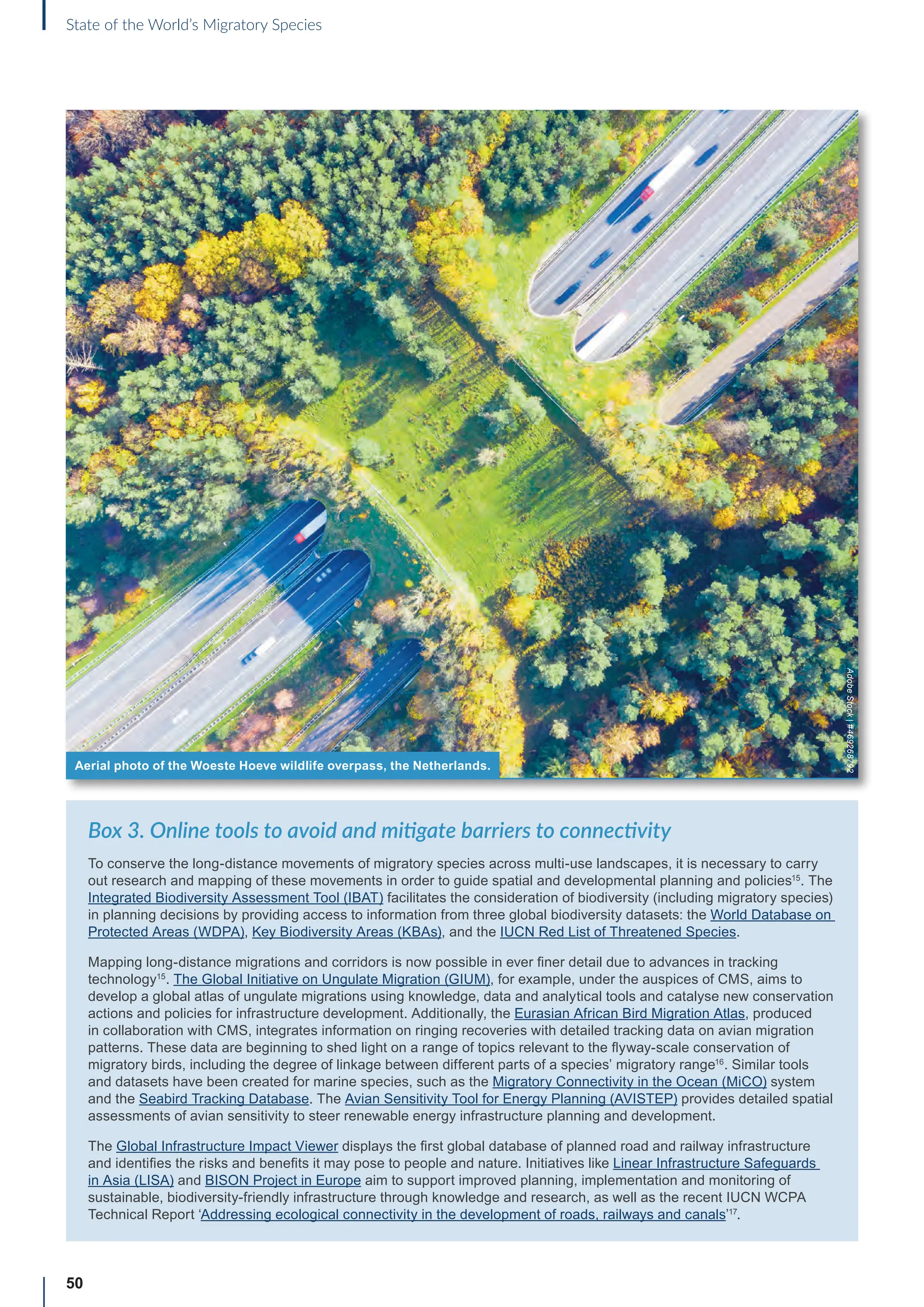 50
State of the World’s Migratory Species
Box 3. Online tools to avoid and mitigate barriers to connectivity
To conserve the long-distance movements of migratory species across multi-use landscapes, it is necessary to carry
out research and mapping of these movements in order to guide spatial and developmental planning and policies15
. The
Integrated Biodiversity Assessment Tool (IBAT) facilitates the consideration of biodiversity (including migratory species)
in planning decisions by providing access to information from three global biodiversity datasets: the World Database on
Protected Areas (WDPA), Key Biodiversity Areas (KBAs), and the IUCN Red List of Threatened Species.
Mapping long-distance migrations and corridors is now possible in ever finer detail due to advances in tracking
technology15
. The Global Initiative on Ungulate Migration (GIUM), for example, under the auspices of CMS, aims to
develop a global atlas of ungulate migrations using knowledge, data and analytical tools and catalyse new conservation
actions and policies for infrastructure development. Additionally, the Eurasian African Bird Migration Atlas, produced
in collaboration with CMS, integrates information on ringing recoveries with detailed tracking data on avian migration
patterns. These data are beginning to shed light on a range of topics relevant to the flyway-scale conservation of
migratory birds, including the degree of linkage between different parts of a species’ migratory range16
. Similar tools
and datasets have been created for marine species, such as the Migratory Connectivity in the Ocean (MiCO) system
and the Seabird Tracking Database. The Avian Sensitivity Tool for Energy Planning (AVISTEP) provides detailed spatial
assessments of avian sensitivity to steer renewable energy infrastructure planning and development.
The Global Infrastructure Impact Viewer displays the first global database of planned road and railway infrastructure
and identifies the risks and benefits it may pose to people and nature. Initiatives like Linear Infrastructure Safeguards
in Asia (LISA) and BISON Project in Europe aim to support improved planning, implementation and monitoring of
sustainable, biodiversity-friendly infrastructure through knowledge and research, as well as the recent IUCN WCPA
Technical Report ‘Addressing ecological connectivity in the development of roads, railways and canals’17
.
Aerial photo of the Woeste Hoeve wildlife overpass, the Netherlands.
Adobe
Stock
|
#469268792
 