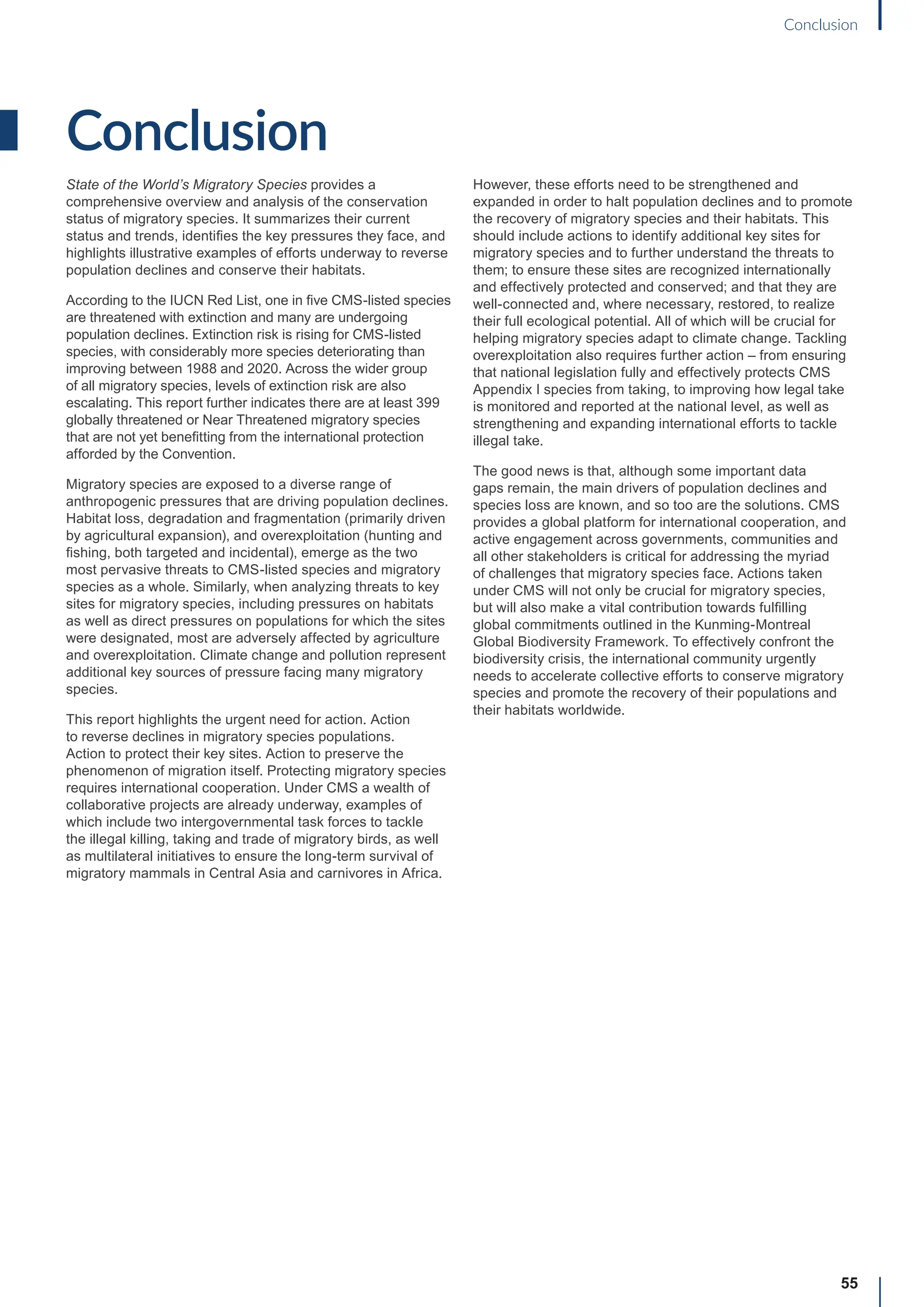 Conclusion
State of the World’s Migratory Species provides a
comprehensive overview and analysis of the conservation
status of migratory species. It summarizes their current
status and trends, identifies the key pressures they face, and
highlights illustrative examples of efforts underway to reverse
population declines and conserve their habitats.
According to the IUCN Red List, one in five CMS-listed species
are threatened with extinction and many are undergoing
population declines. Extinction risk is rising for CMS-listed
species, with considerably more species deteriorating than
improving between 1988 and 2020. Across the wider group
of all migratory species, levels of extinction risk are also
escalating. This report further indicates there are at least 399
globally threatened or Near Threatened migratory species
that are not yet benefitting from the international protection
afforded by the Convention.
Migratory species are exposed to a diverse range of
anthropogenic pressures that are driving population declines.
Habitat loss, degradation and fragmentation (primarily driven
by agricultural expansion), and overexploitation (hunting and
fishing, both targeted and incidental), emerge as the two
most pervasive threats to CMS-listed species and migratory
species as a whole. Similarly, when analyzing threats to key
sites for migratory species, including pressures on habitats
as well as direct pressures on populations for which the sites
were designated, most are adversely affected by agriculture
and overexploitation. Climate change and pollution represent
additional key sources of pressure facing many migratory
species.
This report highlights the urgent need for action. Action
to reverse declines in migratory species populations.
Action to protect their key sites. Action to preserve the
phenomenon of migration itself. Protecting migratory species
requires international cooperation. Under CMS a wealth of
collaborative projects are already underway, examples of
which include two intergovernmental task forces to tackle
the illegal killing, taking and trade of migratory birds, as well
as multilateral initiatives to ensure the long-term survival of
migratory mammals in Central Asia and carnivores in Africa.
However, these efforts need to be strengthened and
expanded in order to halt population declines and to promote
the recovery of migratory species and their habitats. This
should include actions to identify additional key sites for
migratory species and to further understand the threats to
them; to ensure these sites are recognized internationally
and effectively protected and conserved; and that they are
well-connected and, where necessary, restored, to realize
their full ecological potential. All of which will be crucial for
helping migratory species adapt to climate change. Tackling
overexploitation also requires further action – from ensuring
that national legislation fully and effectively protects CMS
Appendix I species from taking, to improving how legal take
is monitored and reported at the national level, as well as
strengthening and expanding international efforts to tackle
illegal take.
The good news is that, although some important data
gaps remain, the main drivers of population declines and
species loss are known, and so too are the solutions. CMS
provides a global platform for international cooperation, and
active engagement across governments, communities and
all other stakeholders is critical for addressing the myriad
of challenges that migratory species face. Actions taken
under CMS will not only be crucial for migratory species,
but will also make a vital contribution towards fulfilling
global commitments outlined in the Kunming-Montreal
Global Biodiversity Framework. To effectively confront the
biodiversity crisis, the international community urgently
needs to accelerate collective efforts to conserve migratory
species and promote the recovery of their populations and
their habitats worldwide.
55
Conclusion
 