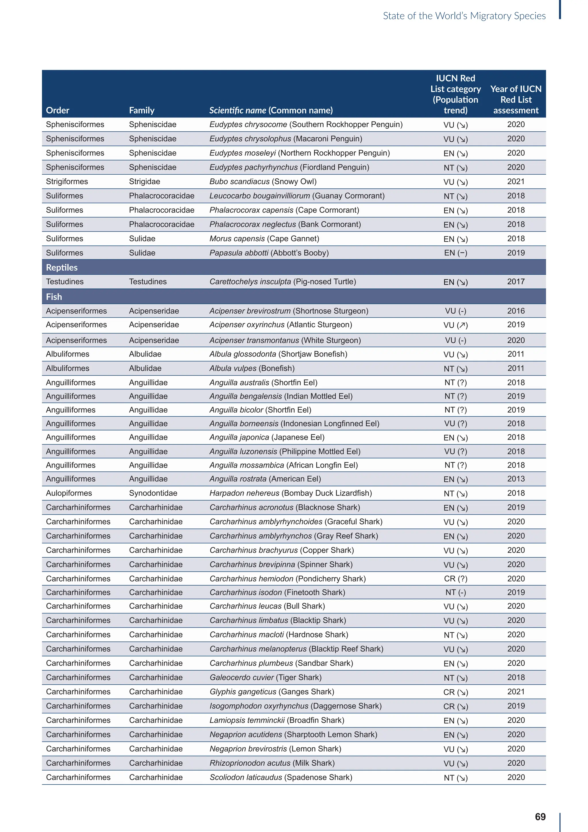 69
State of the World’s Migratory Species
Order Family Scientific name (Common name)
IUCN Red
List category
(Population
trend)
Year of IUCN
Red List
assessment
Sphenisciformes Spheniscidae Eudyptes chrysocome (Southern Rockhopper Penguin) VU (↘) 2020
Sphenisciformes Spheniscidae Eudyptes chrysolophus (Macaroni Penguin) VU (↘) 2020
Sphenisciformes Spheniscidae Eudyptes moseleyi (Northern Rockhopper Penguin) EN (↘) 2020
Sphenisciformes Spheniscidae Eudyptes pachyrhynchus (Fiordland Penguin) NT (↘) 2020
Strigiformes Strigidae Bubo scandiacus (Snowy Owl) VU (↘) 2021
Suliformes Phalacrocoracidae Leucocarbo bougainvilliorum (Guanay Cormorant) NT (↘) 2018
Suliformes Phalacrocoracidae Phalacrocorax capensis (Cape Cormorant) EN (↘) 2018
Suliformes Phalacrocoracidae Phalacrocorax neglectus (Bank Cormorant) EN (↘) 2018
Suliformes Sulidae Morus capensis (Cape Gannet) EN (↘) 2018
Suliformes Sulidae Papasula abbotti (Abbott’s Booby) EN (−) 2019
Reptiles
Testudines Testudines Carettochelys insculpta (Pig-nosed Turtle) EN (↘) 2017
Fish
Acipenseriformes Acipenseridae Acipenser brevirostrum (Shortnose Sturgeon) VU (-) 2016
Acipenseriformes Acipenseridae Acipenser oxyrinchus (Atlantic Sturgeon) VU (↗) 2019
Acipenseriformes Acipenseridae Acipenser transmontanus (White Sturgeon) VU (-) 2020
Albuliformes Albulidae Albula glossodonta (Shortjaw Bonefish) VU (↘) 2011
Albuliformes Albulidae Albula vulpes (Bonefish) NT (↘) 2011
Anguilliformes Anguillidae Anguilla australis (Shortfin Eel) NT (?) 2018
Anguilliformes Anguillidae Anguilla bengalensis (Indian Mottled Eel) NT (?) 2019
Anguilliformes Anguillidae Anguilla bicolor (Shortfin Eel) NT (?) 2019
Anguilliformes Anguillidae Anguilla borneensis (Indonesian Longfinned Eel) VU (?) 2018
Anguilliformes Anguillidae Anguilla japonica (Japanese Eel) EN (↘) 2018
Anguilliformes Anguillidae Anguilla luzonensis (Philippine Mottled Eel) VU (?) 2018
Anguilliformes Anguillidae Anguilla mossambica (African Longfin Eel) NT (?) 2018
Anguilliformes Anguillidae Anguilla rostrata (American Eel) EN (↘) 2013
Aulopiformes Synodontidae Harpadon nehereus (Bombay Duck Lizardfish) NT (↘) 2018
Carcharhiniformes Carcharhinidae Carcharhinus acronotus (Blacknose Shark) EN (↘) 2019
Carcharhiniformes Carcharhinidae Carcharhinus amblyrhynchoides (Graceful Shark) VU (↘) 2020
Carcharhiniformes Carcharhinidae Carcharhinus amblyrhynchos (Gray Reef Shark) EN (↘) 2020
Carcharhiniformes Carcharhinidae Carcharhinus brachyurus (Copper Shark) VU (↘) 2020
Carcharhiniformes Carcharhinidae Carcharhinus brevipinna (Spinner Shark) VU (↘) 2020
Carcharhiniformes Carcharhinidae Carcharhinus hemiodon (Pondicherry Shark) CR (?) 2020
Carcharhiniformes Carcharhinidae Carcharhinus isodon (Finetooth Shark) NT (-) 2019
Carcharhiniformes Carcharhinidae Carcharhinus leucas (Bull Shark) VU (↘) 2020
Carcharhiniformes Carcharhinidae Carcharhinus limbatus (Blacktip Shark) VU (↘) 2020
Carcharhiniformes Carcharhinidae Carcharhinus macloti (Hardnose Shark) NT (↘) 2020
Carcharhiniformes Carcharhinidae Carcharhinus melanopterus (Blacktip Reef Shark) VU (↘) 2020
Carcharhiniformes Carcharhinidae Carcharhinus plumbeus (Sandbar Shark) EN (↘) 2020
Carcharhiniformes Carcharhinidae Galeocerdo cuvier (Tiger Shark) NT (↘) 2018
Carcharhiniformes Carcharhinidae Glyphis gangeticus (Ganges Shark) CR (↘) 2021
Carcharhiniformes Carcharhinidae Isogomphodon oxyrhynchus (Daggernose Shark) CR (↘) 2019
Carcharhiniformes Carcharhinidae Lamiopsis temminckii (Broadfin Shark) EN (↘) 2020
Carcharhiniformes Carcharhinidae Negaprion acutidens (Sharptooth Lemon Shark) EN (↘) 2020
Carcharhiniformes Carcharhinidae Negaprion brevirostris (Lemon Shark) VU (↘) 2020
Carcharhiniformes Carcharhinidae Rhizoprionodon acutus (Milk Shark) VU (↘) 2020
Carcharhiniformes Carcharhinidae Scoliodon laticaudus (Spadenose Shark) NT (↘) 2020
 