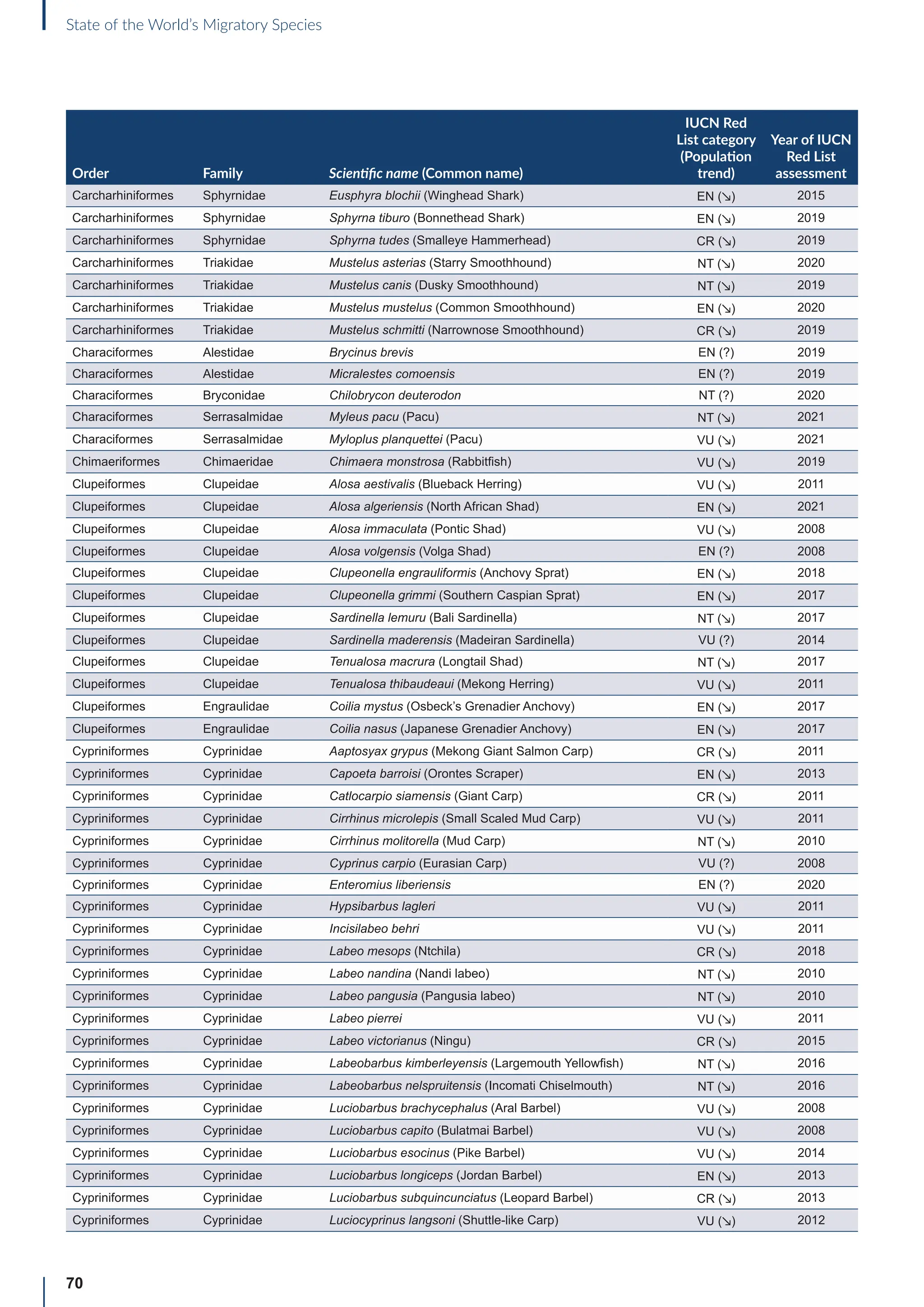 70
State of the World’s Migratory Species
Order Family Scientific name (Common name)
IUCN Red
List category
(Population
trend)
Year of IUCN
Red List
assessment
Carcharhiniformes Sphyrnidae Eusphyra blochii (Winghead Shark) EN (↘) 2015
Carcharhiniformes Sphyrnidae Sphyrna tiburo (Bonnethead Shark) EN (↘) 2019
Carcharhiniformes Sphyrnidae Sphyrna tudes (Smalleye Hammerhead) CR (↘) 2019
Carcharhiniformes Triakidae Mustelus asterias (Starry Smoothhound) NT (↘) 2020
Carcharhiniformes Triakidae Mustelus canis (Dusky Smoothhound) NT (↘) 2019
Carcharhiniformes Triakidae Mustelus mustelus (Common Smoothhound) EN (↘) 2020
Carcharhiniformes Triakidae Mustelus schmitti (Narrownose Smoothhound) CR (↘) 2019
Characiformes Alestidae Brycinus brevis EN (?) 2019
Characiformes Alestidae Micralestes comoensis EN (?) 2019
Characiformes Bryconidae Chilobrycon deuterodon NT (?) 2020
Characiformes Serrasalmidae Myleus pacu (Pacu) NT (↘) 2021
Characiformes Serrasalmidae Myloplus planquettei (Pacu) VU (↘) 2021
Chimaeriformes Chimaeridae Chimaera monstrosa (Rabbitfish) VU (↘) 2019
Clupeiformes Clupeidae Alosa aestivalis (Blueback Herring) VU (↘) 2011
Clupeiformes Clupeidae Alosa algeriensis (North African Shad) EN (↘) 2021
Clupeiformes Clupeidae Alosa immaculata (Pontic Shad) VU (↘) 2008
Clupeiformes Clupeidae Alosa volgensis (Volga Shad) EN (?) 2008
Clupeiformes Clupeidae Clupeonella engrauliformis (Anchovy Sprat) EN (↘) 2018
Clupeiformes Clupeidae Clupeonella grimmi (Southern Caspian Sprat) EN (↘) 2017
Clupeiformes Clupeidae Sardinella lemuru (Bali Sardinella) NT (↘) 2017
Clupeiformes Clupeidae Sardinella maderensis (Madeiran Sardinella) VU (?) 2014
Clupeiformes Clupeidae Tenualosa macrura (Longtail Shad) NT (↘) 2017
Clupeiformes Clupeidae Tenualosa thibaudeaui (Mekong Herring) VU (↘) 2011
Clupeiformes Engraulidae Coilia mystus (Osbeck’s Grenadier Anchovy) EN (↘) 2017
Clupeiformes Engraulidae Coilia nasus (Japanese Grenadier Anchovy) EN (↘) 2017
Cypriniformes Cyprinidae Aaptosyax grypus (Mekong Giant Salmon Carp) CR (↘) 2011
Cypriniformes Cyprinidae Capoeta barroisi (Orontes Scraper) EN (↘) 2013
Cypriniformes Cyprinidae Catlocarpio siamensis (Giant Carp) CR (↘) 2011
Cypriniformes Cyprinidae Cirrhinus microlepis (Small Scaled Mud Carp) VU (↘) 2011
Cypriniformes Cyprinidae Cirrhinus molitorella (Mud Carp) NT (↘) 2010
Cypriniformes Cyprinidae Cyprinus carpio (Eurasian Carp) VU (?) 2008
Cypriniformes Cyprinidae Enteromius liberiensis EN (?) 2020
Cypriniformes Cyprinidae Hypsibarbus lagleri VU (↘) 2011
Cypriniformes Cyprinidae Incisilabeo behri VU (↘) 2011
Cypriniformes Cyprinidae Labeo mesops (Ntchila) CR (↘) 2018
Cypriniformes Cyprinidae Labeo nandina (Nandi labeo) NT (↘) 2010
Cypriniformes Cyprinidae Labeo pangusia (Pangusia labeo) NT (↘) 2010
Cypriniformes Cyprinidae Labeo pierrei VU (↘) 2011
Cypriniformes Cyprinidae Labeo victorianus (Ningu) CR (↘) 2015
Cypriniformes Cyprinidae Labeobarbus kimberleyensis (Largemouth Yellowfish) NT (↘) 2016
Cypriniformes Cyprinidae Labeobarbus nelspruitensis (Incomati Chiselmouth) NT (↘) 2016
Cypriniformes Cyprinidae Luciobarbus brachycephalus (Aral Barbel) VU (↘) 2008
Cypriniformes Cyprinidae Luciobarbus capito (Bulatmai Barbel) VU (↘) 2008
Cypriniformes Cyprinidae Luciobarbus esocinus (Pike Barbel) VU (↘) 2014
Cypriniformes Cyprinidae Luciobarbus longiceps (Jordan Barbel) EN (↘) 2013
Cypriniformes Cyprinidae Luciobarbus subquincunciatus (Leopard Barbel) CR (↘) 2013
Cypriniformes Cyprinidae Luciocyprinus langsoni (Shuttle-like Carp) VU (↘) 2012
 