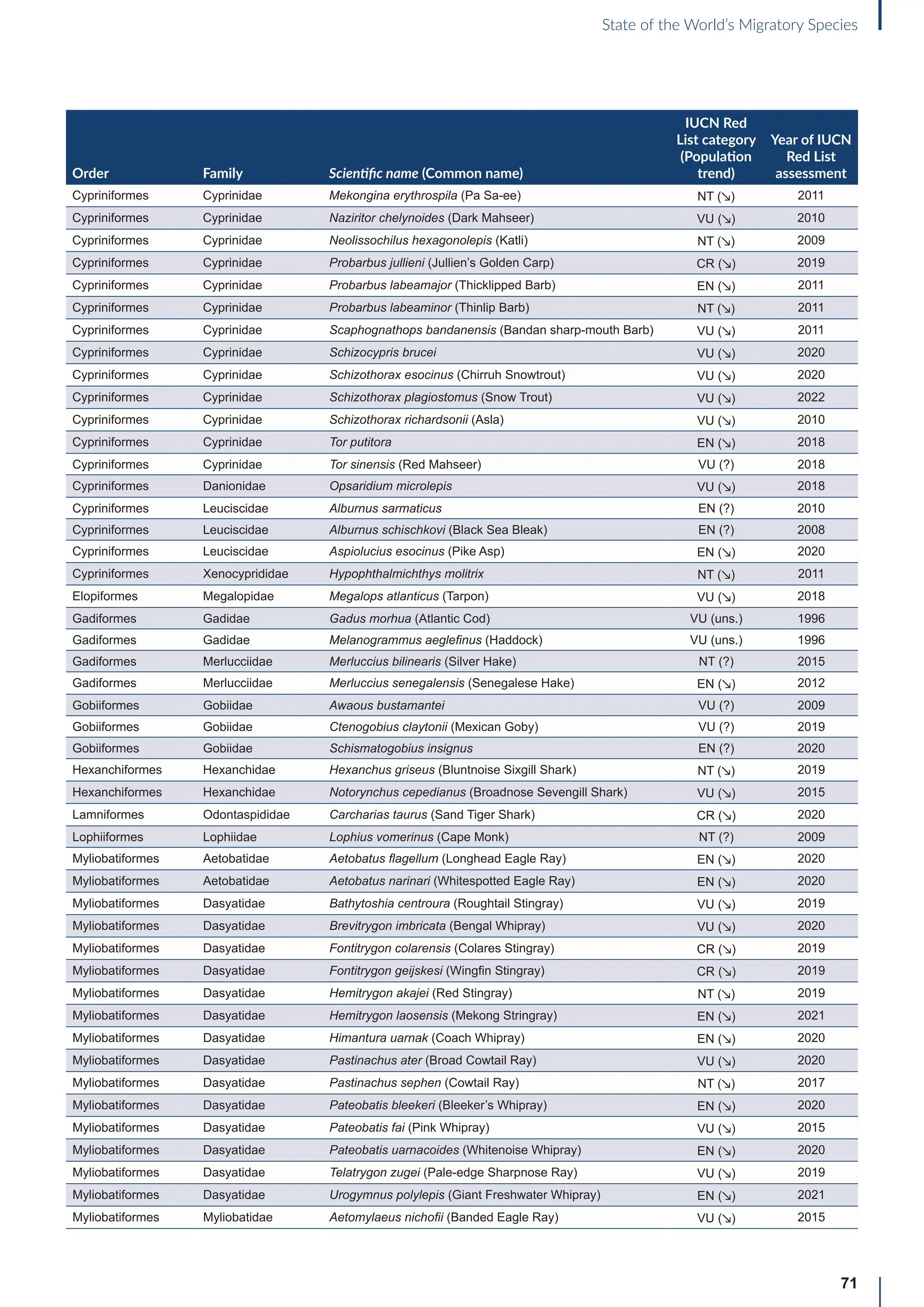 71
State of the World’s Migratory Species
Order Family Scientific name (Common name)
IUCN Red
List category
(Population
trend)
Year of IUCN
Red List
assessment
Cypriniformes Cyprinidae Mekongina erythrospila (Pa Sa-ee) NT (↘) 2011
Cypriniformes Cyprinidae Naziritor chelynoides (Dark Mahseer) VU (↘) 2010
Cypriniformes Cyprinidae Neolissochilus hexagonolepis (Katli) NT (↘) 2009
Cypriniformes Cyprinidae Probarbus jullieni (Jullien’s Golden Carp) CR (↘) 2019
Cypriniformes Cyprinidae Probarbus labeamajor (Thicklipped Barb) EN (↘) 2011
Cypriniformes Cyprinidae Probarbus labeaminor (Thinlip Barb) NT (↘) 2011
Cypriniformes Cyprinidae Scaphognathops bandanensis (Bandan sharp-mouth Barb) VU (↘) 2011
Cypriniformes Cyprinidae Schizocypris brucei VU (↘) 2020
Cypriniformes Cyprinidae Schizothorax esocinus (Chirruh Snowtrout) VU (↘) 2020
Cypriniformes Cyprinidae Schizothorax plagiostomus (Snow Trout) VU (↘) 2022
Cypriniformes Cyprinidae Schizothorax richardsonii (Asla) VU (↘) 2010
Cypriniformes Cyprinidae Tor putitora EN (↘) 2018
Cypriniformes Cyprinidae Tor sinensis (Red Mahseer) VU (?) 2018
Cypriniformes Danionidae Opsaridium microlepis VU (↘) 2018
Cypriniformes Leuciscidae Alburnus sarmaticus EN (?) 2010
Cypriniformes Leuciscidae Alburnus schischkovi (Black Sea Bleak) EN (?) 2008
Cypriniformes Leuciscidae Aspiolucius esocinus (Pike Asp) EN (↘) 2020
Cypriniformes Xenocyprididae Hypophthalmichthys molitrix NT (↘) 2011
Elopiformes Megalopidae Megalops atlanticus (Tarpon) VU (↘) 2018
Gadiformes Gadidae Gadus morhua (Atlantic Cod) VU (uns.) 1996
Gadiformes Gadidae Melanogrammus aeglefinus (Haddock) VU (uns.) 1996
Gadiformes Merlucciidae Merluccius bilinearis (Silver Hake) NT (?) 2015
Gadiformes Merlucciidae Merluccius senegalensis (Senegalese Hake) EN (↘) 2012
Gobiiformes Gobiidae Awaous bustamantei VU (?) 2009
Gobiiformes Gobiidae Ctenogobius claytonii (Mexican Goby) VU (?) 2019
Gobiiformes Gobiidae Schismatogobius insignus EN (?) 2020
Hexanchiformes Hexanchidae Hexanchus griseus (Bluntnoise Sixgill Shark) NT (↘) 2019
Hexanchiformes Hexanchidae Notorynchus cepedianus (Broadnose Sevengill Shark) VU (↘) 2015
Lamniformes Odontaspididae Carcharias taurus (Sand Tiger Shark) CR (↘) 2020
Lophiiformes Lophiidae Lophius vomerinus (Cape Monk) NT (?) 2009
Myliobatiformes Aetobatidae Aetobatus flagellum (Longhead Eagle Ray) EN (↘) 2020
Myliobatiformes Aetobatidae Aetobatus narinari (Whitespotted Eagle Ray) EN (↘) 2020
Myliobatiformes Dasyatidae Bathytoshia centroura (Roughtail Stingray) VU (↘) 2019
Myliobatiformes Dasyatidae Brevitrygon imbricata (Bengal Whipray) VU (↘) 2020
Myliobatiformes Dasyatidae Fontitrygon colarensis (Colares Stingray) CR (↘) 2019
Myliobatiformes Dasyatidae Fontitrygon geijskesi (Wingfin Stingray) CR (↘) 2019
Myliobatiformes Dasyatidae Hemitrygon akajei (Red Stingray) NT (↘) 2019
Myliobatiformes Dasyatidae Hemitrygon laosensis (Mekong Stringray) EN (↘) 2021
Myliobatiformes Dasyatidae Himantura uarnak (Coach Whipray) EN (↘) 2020
Myliobatiformes Dasyatidae Pastinachus ater (Broad Cowtail Ray) VU (↘) 2020
Myliobatiformes Dasyatidae Pastinachus sephen (Cowtail Ray) NT (↘) 2017
Myliobatiformes Dasyatidae Pateobatis bleekeri (Bleeker’s Whipray) EN (↘) 2020
Myliobatiformes Dasyatidae Pateobatis fai (Pink Whipray) VU (↘) 2015
Myliobatiformes Dasyatidae Pateobatis uarnacoides (Whitenoise Whipray) EN (↘) 2020
Myliobatiformes Dasyatidae Telatrygon zugei (Pale-edge Sharpnose Ray) VU (↘) 2019
Myliobatiformes Dasyatidae Urogymnus polylepis (Giant Freshwater Whipray) EN (↘) 2021
Myliobatiformes Myliobatidae Aetomylaeus nichofii (Banded Eagle Ray) VU (↘) 2015
 