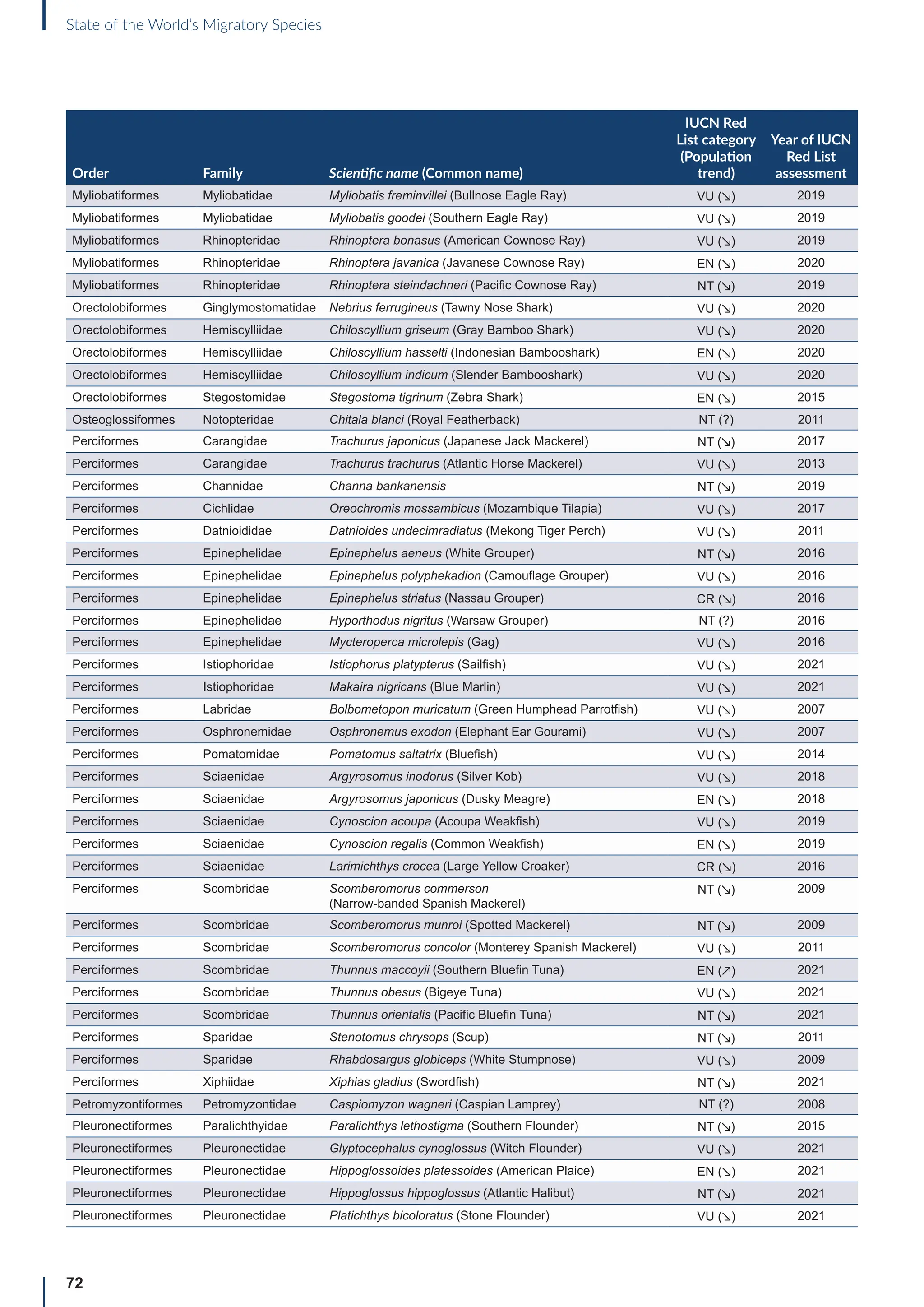 72
State of the World’s Migratory Species
Order Family Scientific name (Common name)
IUCN Red
List category
(Population
trend)
Year of IUCN
Red List
assessment
Myliobatiformes Myliobatidae Myliobatis freminvillei (Bullnose Eagle Ray) VU (↘) 2019
Myliobatiformes Myliobatidae Myliobatis goodei (Southern Eagle Ray) VU (↘) 2019
Myliobatiformes Rhinopteridae Rhinoptera bonasus (American Cownose Ray) VU (↘) 2019
Myliobatiformes Rhinopteridae Rhinoptera javanica (Javanese Cownose Ray) EN (↘) 2020
Myliobatiformes Rhinopteridae Rhinoptera steindachneri (Pacific Cownose Ray) NT (↘) 2019
Orectolobiformes Ginglymostomatidae Nebrius ferrugineus (Tawny Nose Shark) VU (↘) 2020
Orectolobiformes Hemiscylliidae Chiloscyllium griseum (Gray Bamboo Shark) VU (↘) 2020
Orectolobiformes Hemiscylliidae Chiloscyllium hasselti (Indonesian Bambooshark) EN (↘) 2020
Orectolobiformes Hemiscylliidae Chiloscyllium indicum (Slender Bambooshark) VU (↘) 2020
Orectolobiformes Stegostomidae Stegostoma tigrinum (Zebra Shark) EN (↘) 2015
Osteoglossiformes Notopteridae Chitala blanci (Royal Featherback) NT (?) 2011
Perciformes Carangidae Trachurus japonicus (Japanese Jack Mackerel) NT (↘) 2017
Perciformes Carangidae Trachurus trachurus (Atlantic Horse Mackerel) VU (↘) 2013
Perciformes Channidae Channa bankanensis NT (↘) 2019
Perciformes Cichlidae Oreochromis mossambicus (Mozambique Tilapia) VU (↘) 2017
Perciformes Datnioididae Datnioides undecimradiatus (Mekong Tiger Perch) VU (↘) 2011
Perciformes Epinephelidae Epinephelus aeneus (White Grouper) NT (↘) 2016
Perciformes Epinephelidae Epinephelus polyphekadion (Camouflage Grouper) VU (↘) 2016
Perciformes Epinephelidae Epinephelus striatus (Nassau Grouper) CR (↘) 2016
Perciformes Epinephelidae Hyporthodus nigritus (Warsaw Grouper) NT (?) 2016
Perciformes Epinephelidae Mycteroperca microlepis (Gag) VU (↘) 2016
Perciformes Istiophoridae Istiophorus platypterus (Sailfish) VU (↘) 2021
Perciformes Istiophoridae Makaira nigricans (Blue Marlin) VU (↘) 2021
Perciformes Labridae Bolbometopon muricatum (Green Humphead Parrotfish) VU (↘) 2007
Perciformes Osphronemidae Osphronemus exodon (Elephant Ear Gourami) VU (↘) 2007
Perciformes Pomatomidae Pomatomus saltatrix (Bluefish) VU (↘) 2014
Perciformes Sciaenidae Argyrosomus inodorus (Silver Kob) VU (↘) 2018
Perciformes Sciaenidae Argyrosomus japonicus (Dusky Meagre) EN (↘) 2018
Perciformes Sciaenidae Cynoscion acoupa (Acoupa Weakfish) VU (↘) 2019
Perciformes Sciaenidae Cynoscion regalis (Common Weakfish) EN (↘) 2019
Perciformes Sciaenidae Larimichthys crocea (Large Yellow Croaker) CR (↘) 2016
Perciformes Scombridae Scomberomorus commerson
(Narrow-banded Spanish Mackerel)
NT (↘) 2009
Perciformes Scombridae Scomberomorus munroi (Spotted Mackerel) NT (↘) 2009
Perciformes Scombridae Scomberomorus concolor (Monterey Spanish Mackerel) VU (↘) 2011
Perciformes Scombridae Thunnus maccoyii (Southern Bluefin Tuna) EN (↗) 2021
Perciformes Scombridae Thunnus obesus (Bigeye Tuna) VU (↘) 2021
Perciformes Scombridae Thunnus orientalis (Pacific Bluefin Tuna) NT (↘) 2021
Perciformes Sparidae Stenotomus chrysops (Scup) NT (↘) 2011
Perciformes Sparidae Rhabdosargus globiceps (White Stumpnose) VU (↘) 2009
Perciformes Xiphiidae Xiphias gladius (Swordfish) NT (↘) 2021
Petromyzontiformes Petromyzontidae Caspiomyzon wagneri (Caspian Lamprey) NT (?) 2008
Pleuronectiformes Paralichthyidae Paralichthys lethostigma (Southern Flounder) NT (↘) 2015
Pleuronectiformes Pleuronectidae Glyptocephalus cynoglossus (Witch Flounder) VU (↘) 2021
Pleuronectiformes Pleuronectidae Hippoglossoides platessoides (American Plaice) EN (↘) 2021
Pleuronectiformes Pleuronectidae Hippoglossus hippoglossus (Atlantic Halibut) NT (↘) 2021
Pleuronectiformes Pleuronectidae Platichthys bicoloratus (Stone Flounder) VU (↘) 2021
 
