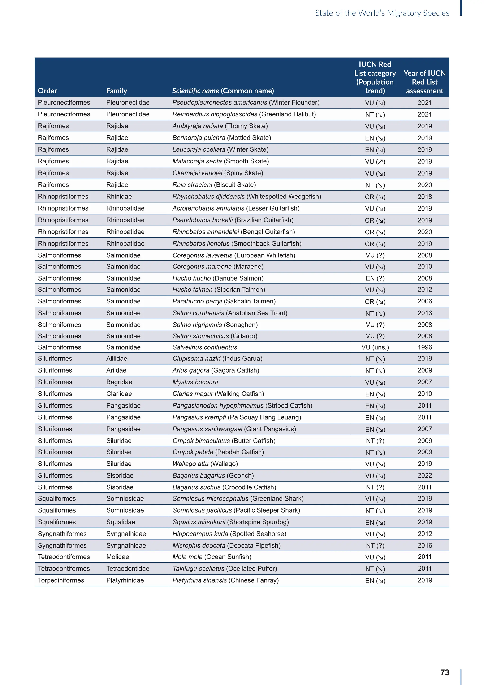 73
State of the World’s Migratory Species
Order Family Scientific name (Common name)
IUCN Red
List category
(Population
trend)
Year of IUCN
Red List
assessment
Pleuronectiformes Pleuronectidae Pseudopleuronectes americanus (Winter Flounder) VU (↘) 2021
Pleuronectiformes Pleuronectidae Reinhardtius hippoglossoides (Greenland Halibut) NT (↘) 2021
Rajiformes Rajidae Amblyraja radiata (Thorny Skate) VU (↘) 2019
Rajiformes Rajidae Beringraja pulchra (Mottled Skate) EN (↘) 2019
Rajiformes Rajidae Leucoraja ocellata (Winter Skate) EN (↘) 2019
Rajiformes Rajidae Malacoraja senta (Smooth Skate) VU (↗) 2019
Rajiformes Rajidae Okamejei kenojei (Spiny Skate) VU (↘) 2019
Rajiformes Rajidae Raja straeleni (Biscuit Skate) NT (↘) 2020
Rhinopristiformes Rhinidae Rhynchobatus djiddensis (Whitespotted Wedgefish) CR (↘) 2018
Rhinopristiformes Rhinobatidae Acroteriobatus annulatus (Lesser Guitarfish) VU (↘) 2019
Rhinopristiformes Rhinobatidae Pseudobatos horkelii (Brazilian Guitarfish) CR (↘) 2019
Rhinopristiformes Rhinobatidae Rhinobatos annandalei (Bengal Guitarfish) CR (↘) 2020
Rhinopristiformes Rhinobatidae Rhinobatos lionotus (Smoothback Guitarfish) CR (↘) 2019
Salmoniformes Salmonidae Coregonus lavaretus (European Whitefish) VU (?) 2008
Salmoniformes Salmonidae Coregonus maraena (Maraene) VU (↘) 2010
Salmoniformes Salmonidae Hucho hucho (Danube Salmon) EN (?) 2008
Salmoniformes Salmonidae Hucho taimen (Siberian Taimen) VU (↘) 2012
Salmoniformes Salmonidae Parahucho perryi (Sakhalin Taimen) CR (↘) 2006
Salmoniformes Salmonidae Salmo coruhensis (Anatolian Sea Trout) NT (↘) 2013
Salmoniformes Salmonidae Salmo nigripinnis (Sonaghen) VU (?) 2008
Salmoniformes Salmonidae Salmo stomachicus (Gillaroo) VU (?) 2008
Salmoniformes Salmonidae Salvelinus confluentus VU (uns.) 1996
Siluriformes Ailiidae Clupisoma naziri (Indus Garua) NT (↘) 2019
Siluriformes Ariidae Arius gagora (Gagora Catfish) NT (↘) 2009
Siluriformes Bagridae Mystus bocourti VU (↘) 2007
Siluriformes Clariidae Clarias magur (Walking Catfish) EN (↘) 2010
Siluriformes Pangasidae Pangasianodon hypophthalmus (Striped Catfish) EN (↘) 2011
Siluriformes Pangasidae Pangasius krempfi (Pa Souay Hang Leuang) EN (↘) 2011
Siluriformes Pangasidae Pangasius sanitwongsei (Giant Pangasius) EN (↘) 2007
Siluriformes Siluridae Ompok bimaculatus (Butter Catfish) NT (?) 2009
Siluriformes Siluridae Ompok pabda (Pabdah Catfish) NT (↘) 2009
Siluriformes Siluridae Wallago attu (Wallago) VU (↘) 2019
Siluriformes Sisoridae Bagarius bagarius (Goonch) VU (↘) 2022
Siluriformes Sisoridae Bagarius suchus (Crocodile Catfish) NT (?) 2011
Squaliformes Somniosidae Somniosus microcephalus (Greenland Shark) VU (↘) 2019
Squaliformes Somniosidae Somniosus pacificus (Pacific Sleeper Shark) NT (↘) 2019
Squaliformes Squalidae Squalus mitsukurii (Shortspine Spurdog) EN (↘) 2019
Syngnathiformes Syngnathidae Hippocampus kuda (Spotted Seahorse) VU (↘) 2012
Syngnathiformes Syngnathidae Microphis deocata (Deocata Pipefish) NT (?) 2016
Tetraodontiformes Molidae Mola mola (Ocean Sunfish) VU (↘) 2011
Tetraodontiformes Tetraodontidae Takifugu ocellatus (Ocellated Puffer) NT (↘) 2011
Torpediniformes Platyrhinidae Platyrhina sinensis (Chinese Fanray) EN (↘) 2019
 
