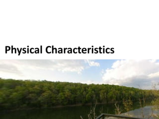 Physical Characteristics
 