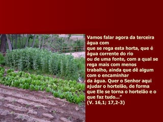 Vamos falar agora da terceira água com que se rega esta horta, que é água corrente do rio ou de uma fonte, com a qual se rega mais com menos trabalho, ainda que dê algum com o encaminhar  da água. Quer o Senhor aqui ajudar o hortelão, de forma que Ele se torna o hortelão e o que faz tudo...” (V. 16,1; 17,2-3) 