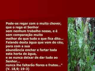 Pode-se regar com o muito chover, que o rega el Senhor sem nenhum trabalho nosso, e é sem comparação muito melhor do que tudo o que fica dito... Falando desta água que vem do céu, para com a sua abundância encher e fartar toda esta horta de água, e se nunca deixar de dar tudo ao Senhor... nunca lhe faltarão flores e frutos...” (V. 18,9; 19-3) 
