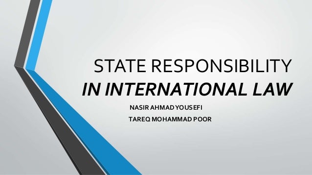 state responsibility in international law essay