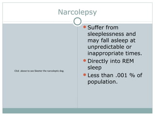 Narcolepsy
Suffer from
sleeplessness and
may fall asleep at
unpredictable or
inappropriate times.
Directly into REM
sleep
Less than .001 % of
population.
Click above to see Skeeter the narcoleptic dog.
 