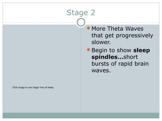 Stage 2
More Theta Waves
that get progressively
slower.
Begin to show sleep
spindles…short
bursts of rapid brain
waves.
Click image to see Stage Two of sleep.
 