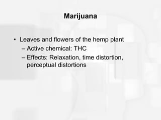 Marijuana
• Leaves and flowers of the hemp plant
– Active chemical: THC
– Effects: Relaxation, time distortion,
perceptual distortions
 