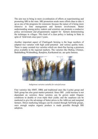 The aim was to bring in more co-ordination of efforts at experimenting and
promoting SRI in the state. SRI promotion needs more efforts than to take it
up as one of the programs for extension; because the nature of it being more
intensive in time management and farmers involvement. Better
understanding among policy makers and scientists can promote a conducive
policy environment and programmatic support for farmers demonstrating
the technique in villages. This kind of a clear policy is lacking in State in
spite of field trials since past 3 years.

Another important aspect of Chattisgarh farming is the huge numbers of
adapted rice varieties with high yield potential and various quality traits.
There is many scented rice varieties which are short-fine having a premium
price available in the regional markets. The varieties like Dubraj, Chinnor,
Badshabhog Wishnubhog, Ramjhira, Karikamod etc. are quite famous.




                Indigenous varieties suitable for rain-fed areas

Fine varieties like HMT, DRK and traditional ones like Luchai group and
Safri group has also great market potential. Since SRI yield increase is not
dependant on varieties; these varieties can be grown under Organic
conditions to double or even triple their yields; and the surpluses can be
marketed to give the advantage of better prices to the Adhivasi and marginal
farmers. Direct marketing linkages can be created through Self-help groups,
once enough surplus organic produce is made possible through SRI
adoption.
 