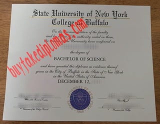 State University of New York at Buffalo degree
