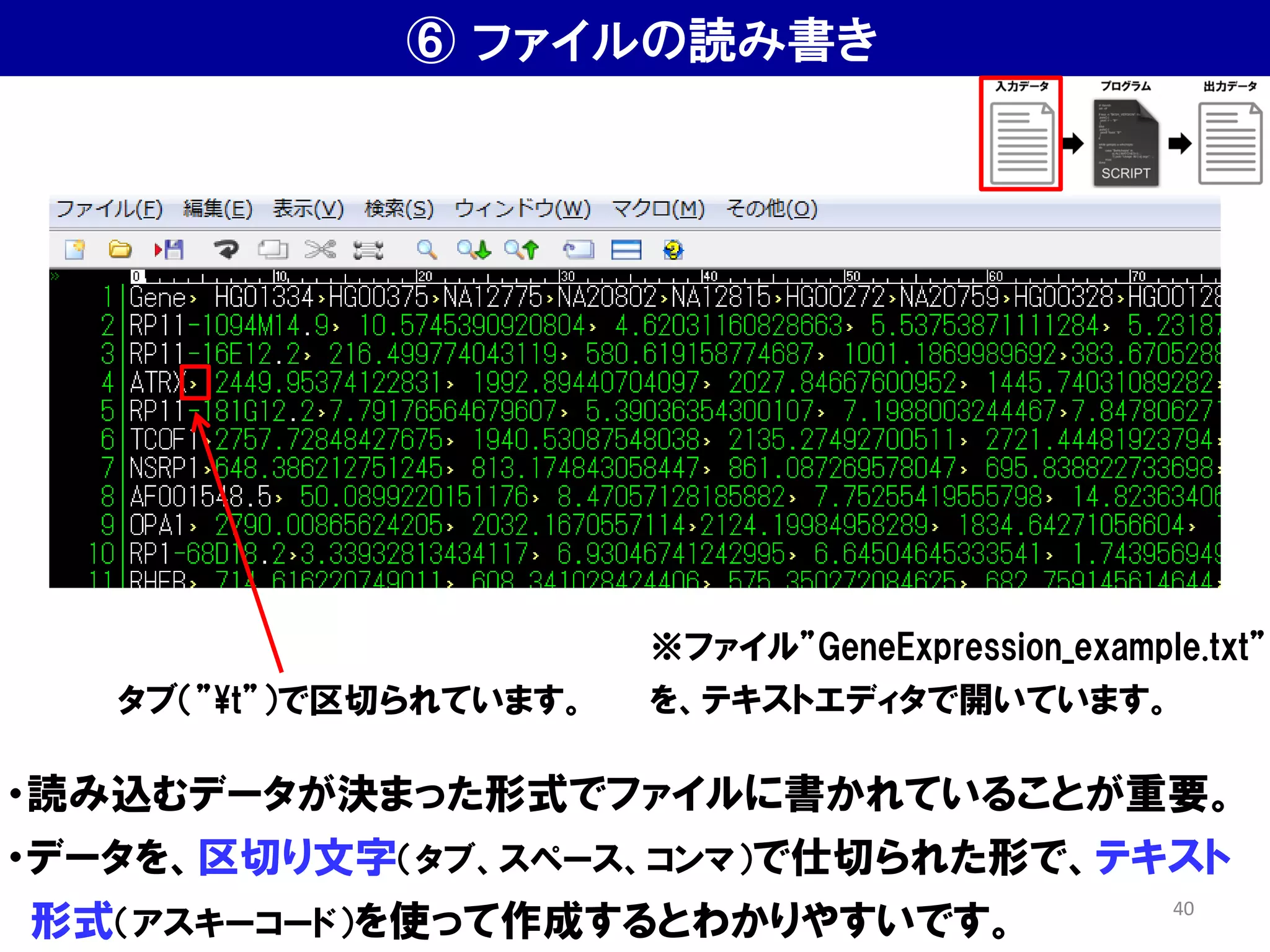 ⑥ ファイルの読み書き
・読み込むデータが決まった形式でファイルに書かれていることが重要。
・データを、区切り文字（タブ、スペース、コンマ）で仕切られた形で、テキスト
形式（アスキーコード）を使って作成するとわかりやすいです。
※ファイル”GeneExpression_example.txt”
を、テキストエディタで開いています。
タブ（”¥t”）で区切られています。
40
 