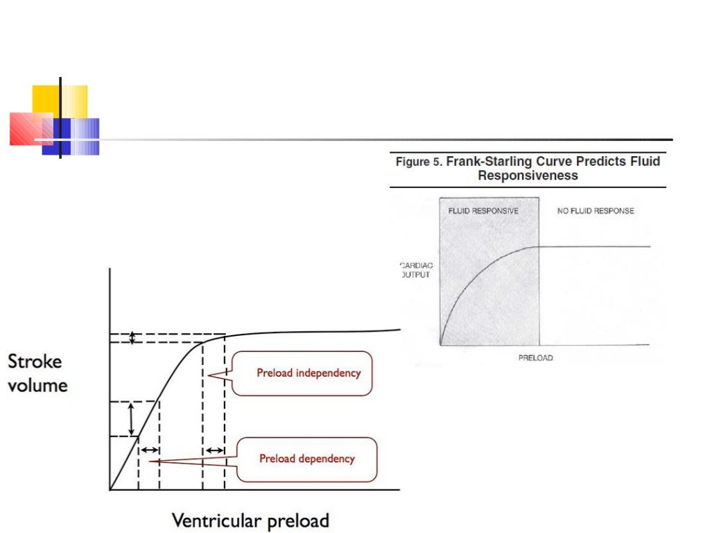 Static and dynamic indices of hemodynamic monitoring