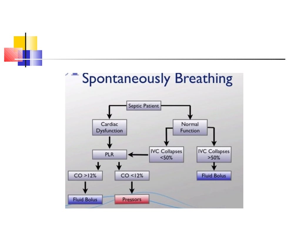 Static and dynamic indices of hemodynamic monitoring