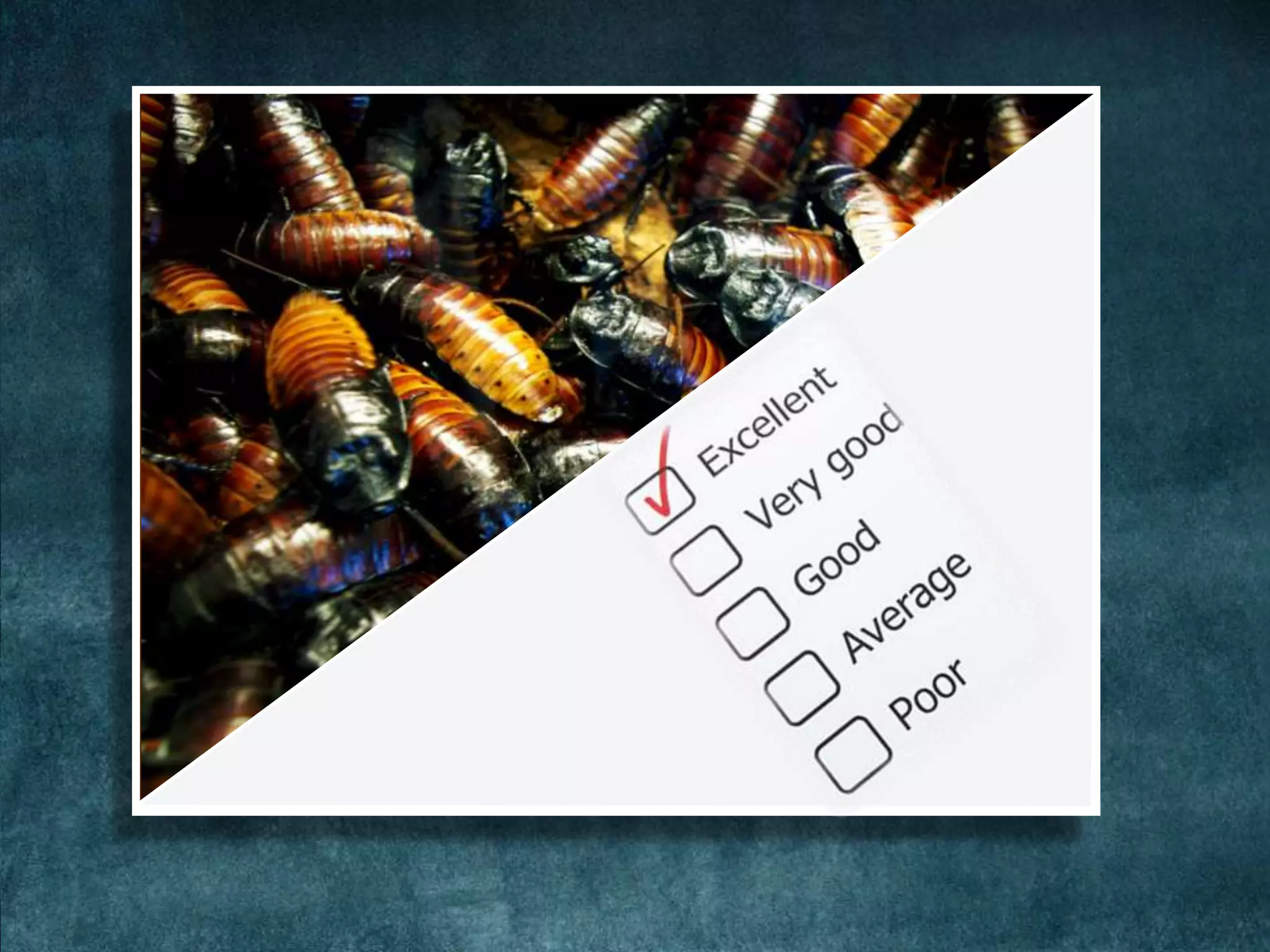 Static code analysis | PPTX