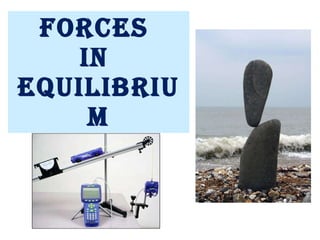 Forces  in  Equilibrium 