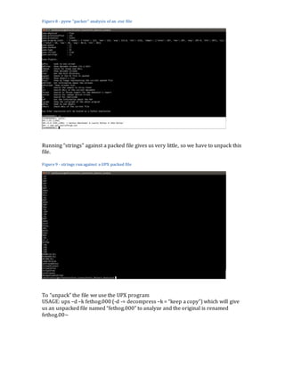 Static malware analysis sop | DOCX