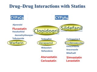Drug–Drug Interactions with Statins

          CYP2C9                                                 CYP3A4
                                                  Amlodipine               Quinidine
             Alprenolol
                                                  Diltiazem
            Fluvastatin                                                 Sildefanil
            Hexobarbital                Clopidogril                        Warfarin

            N- desmethyldiazepan                  Protease inhibitors     Clarithromycin
            Tolbutamide                           Terbinafine             Cyclosporine A

        Warfarin                               Verapamil                   Erythromycin
                                                                          Erythtromycine
                                                                          Ketoconazole
                                                  Midazolam
                                                                          Itraconazole
                                                  Nefazodone
                                                  Nifedipine              Mibefradil
                                                  Atorvastatin            Simvastatin
                                                  Cerivastatin            Lovastatin


Adapted form Corsini A et al. Atherosclerosis, 2002; 35–40.
 