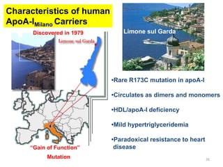 Characteristics of human
ApoA-IMilano Carriers
      Discovered in 1979       Limone sul Garda




                           •Rare R173C mutation in apoA-I

                           •Circulates as dimers and monomers

                           •HDL/apoA-I deficiency

                           •Mild hypertriglyceridemia

                           •Paradoxical resistance to heart
     “Gain of Function”     disease
           Mutation                                           26
 