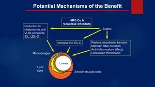 Potential Mechanisms of the Benefit
Statins
Increase in HDL-C
Reduction in
chylomicron and
VLDL remnants,
IDL, LDL-C
Restore endothelial function
Maintain SMC function
Anti-inflammatory effects
Decreased thrombosis
Lumen
Lipid
core
Macrophages
Smooth muscle cells
HMG Co A
reductase inhibitors
 