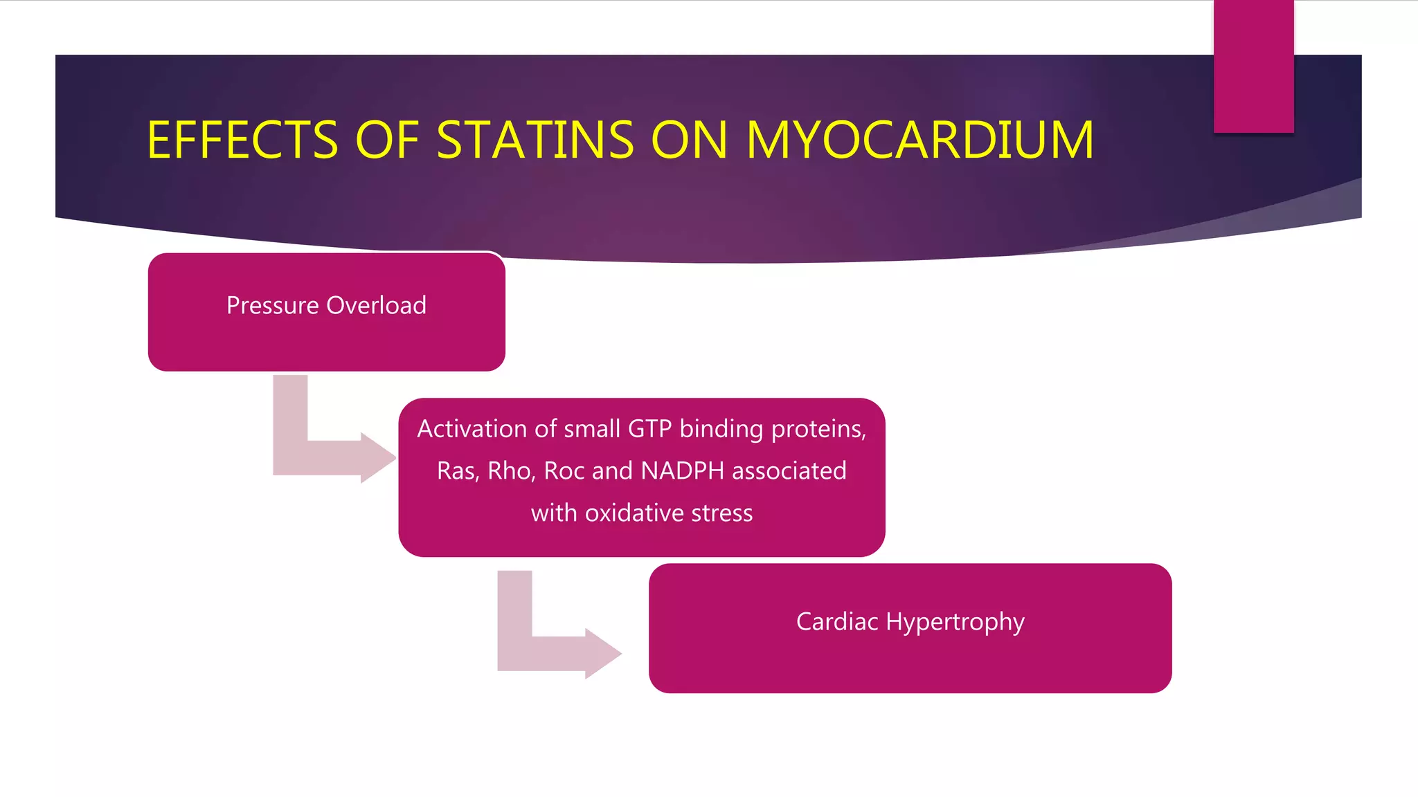 EFFECTS OF STATINS ON MYOCARDIUM
Pressure Overload
Activation of small GTP binding proteins,
Ras, Rho, Roc and NADPH associated
with oxidative stress
Cardiac Hypertrophy
 