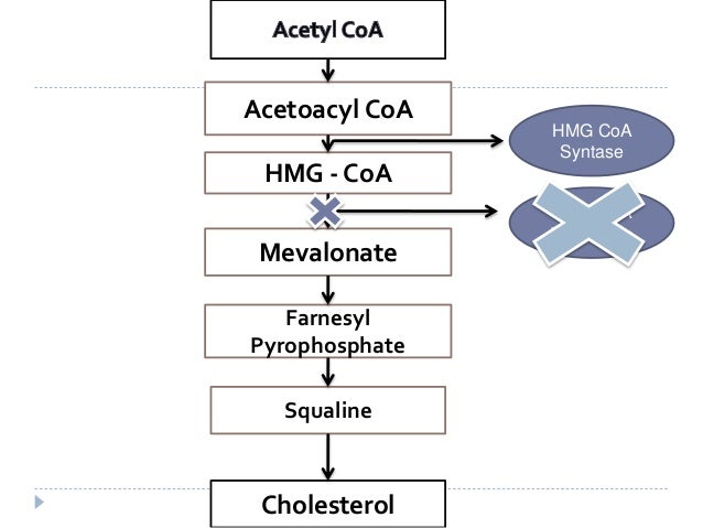 evista generic side effects