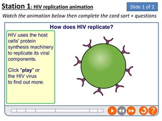 Station 1: HIV replication animation
Watch the animation below then complete the card sort + questions
Slide 1 of 2
 