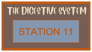 THE DIGESTIVE SYSTEM
!"#"$%&'((
 