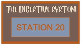 THE DIGESTIVE SYSTEM
!"#"$%&')1
 