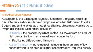 The Absorption Process
Absorption is the passage of digested food from the gastrointestinal
tract into the cardiovascular and lymph systems for distribution to cells.
Sugars and amino acids go through capillaries; glycerol/fatty acids go to
lymphatic system. Absorption occurs by:
• Diffusion – the process by which molecules move from an area of
high concentration to an area of lower concentration.
• Facilitated diffusion and Osmosis
• Active Transport – movement of molecules from an area of low
concentration to an area of higher concentration; (requires energy)
STATION 20: let’s break it down!