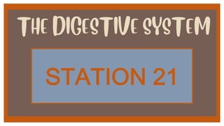 THE DIGESTIVE SYSTEM
!"#"$%&')(
 