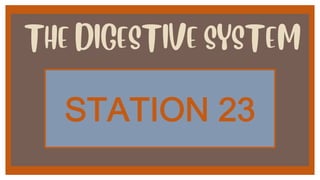 THE DIGESTIVE SYSTEM
!"#"$%&')*
 