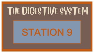 THE DIGESTIVE SYSTEM
!"#"$%&'0
 