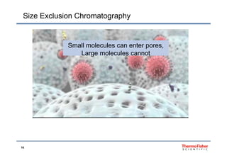 Size Exclusion Chromatography
S ll l l tSmall molecules can enter pores,
Large molecules cannot
16
 