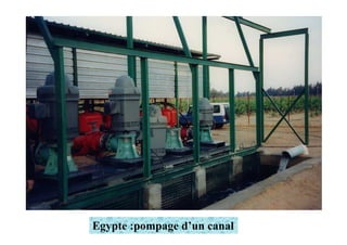 Egypte :pompage d’un canal
 