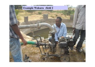 Example Wokuru :field 2
 