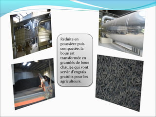 Réduite en
poussière puis
compactée, la
boue est
transformée en
granulés de boue
chaulée qui vont
servir d’engrais
gratuits pour les
agriculteurs.
 