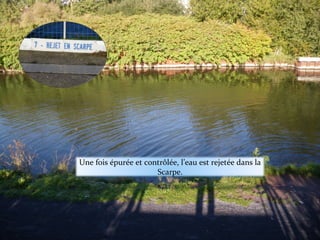 Une fois épurée et contrôlée, l’eau est rejetée dans la
                      Scarpe.
 