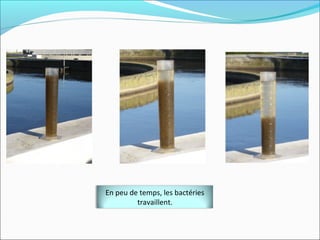 En peu de temps, les bactéries
         travaillent.
 