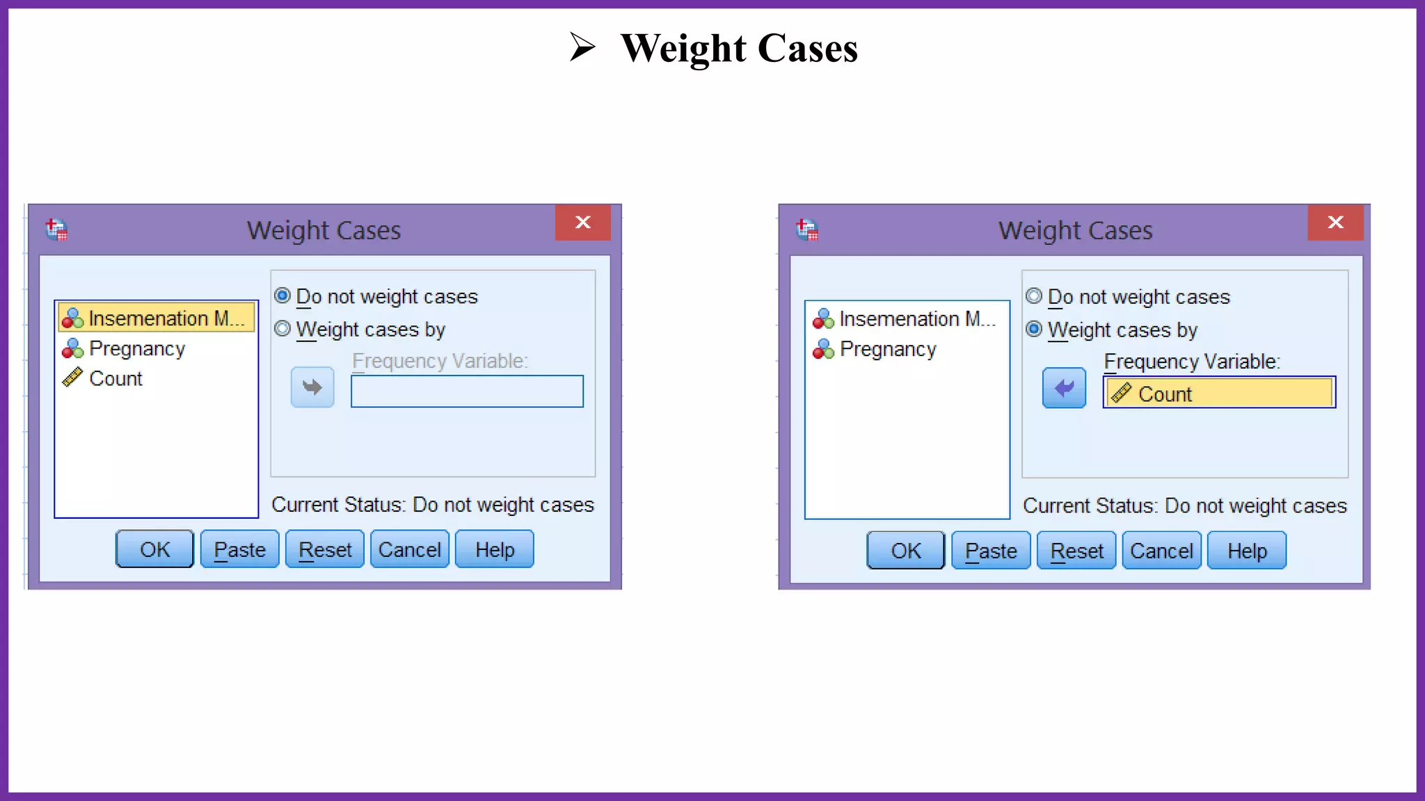  Weight Cases
 