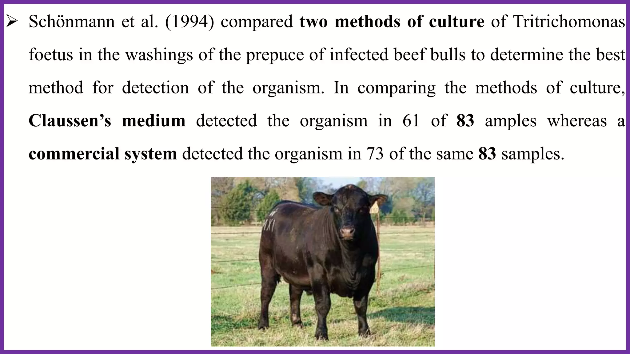  Schönmann et al. (1994) compared two methods of culture of Tritrichomonas
foetus in the washings of the prepuce of infected beef bulls to determine the best
method for detection of the organism. In comparing the methods of culture,
Claussen’s medium detected the organism in 61 of 83 amples whereas a
commercial system detected the organism in 73 of the same 83 samples.
 